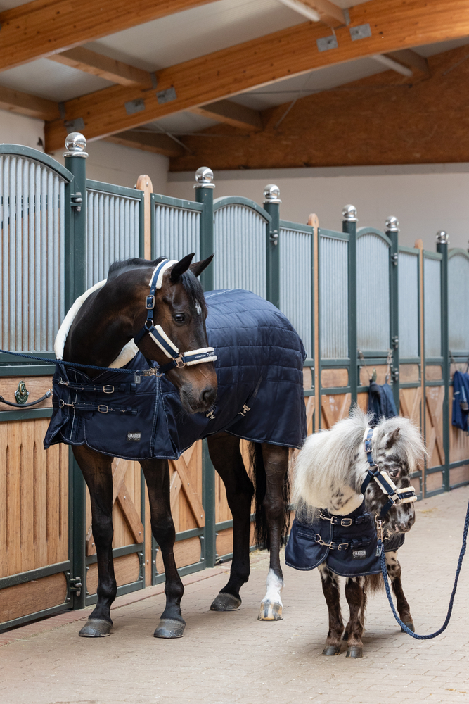 ZETA 200<br>STABLE RUG