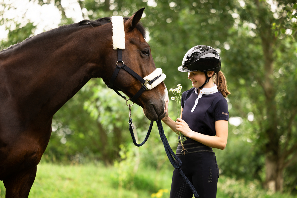 AIRDUO SHINY<br>RIDING HELMET