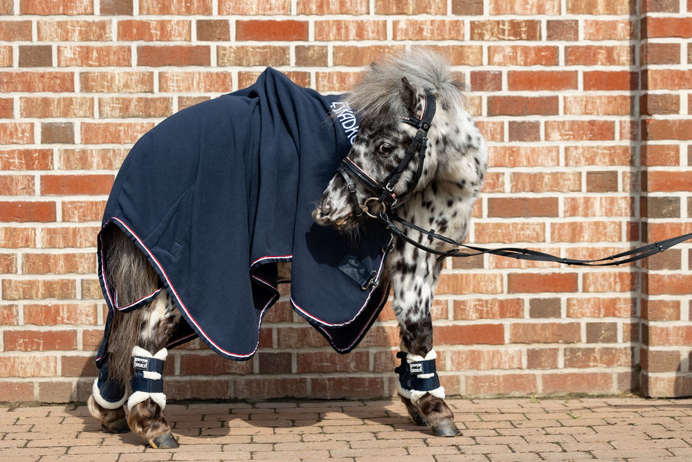 FLEECE CONTRAST SHETTY<br>SWEAT RUG