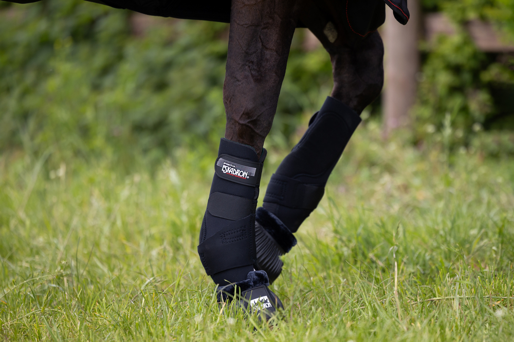 PRO ACTIVE F<br>TENDON BOOTS