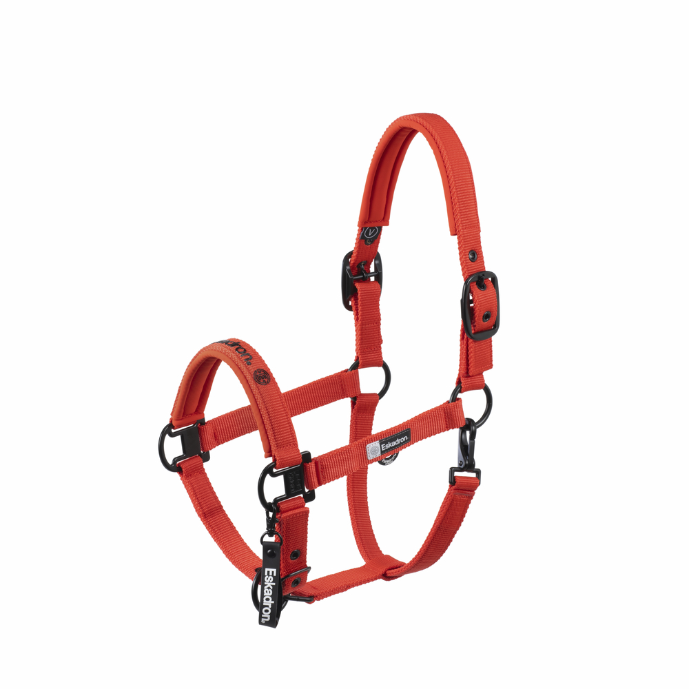 DOUBLE PIN<br>HEADCOLLAR