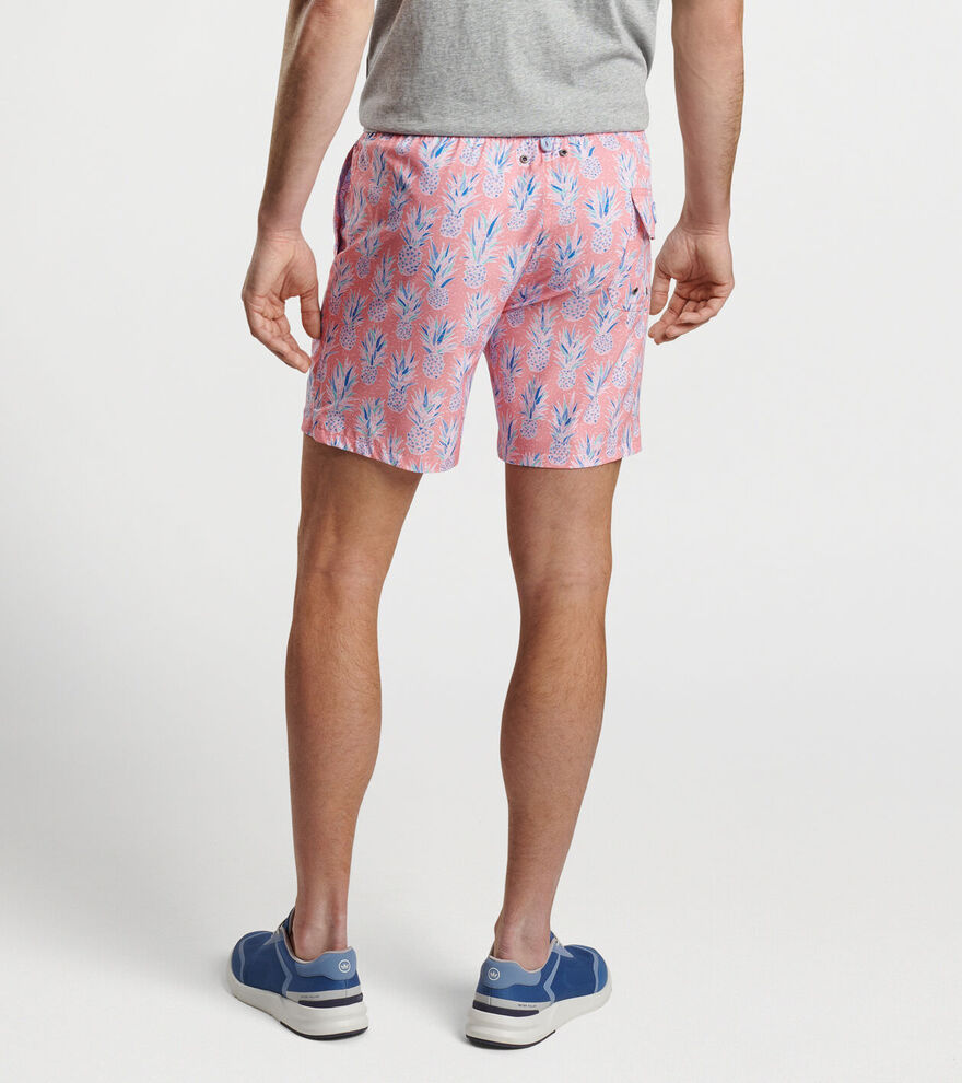 Pineapple In Paradise Swim Trunk
