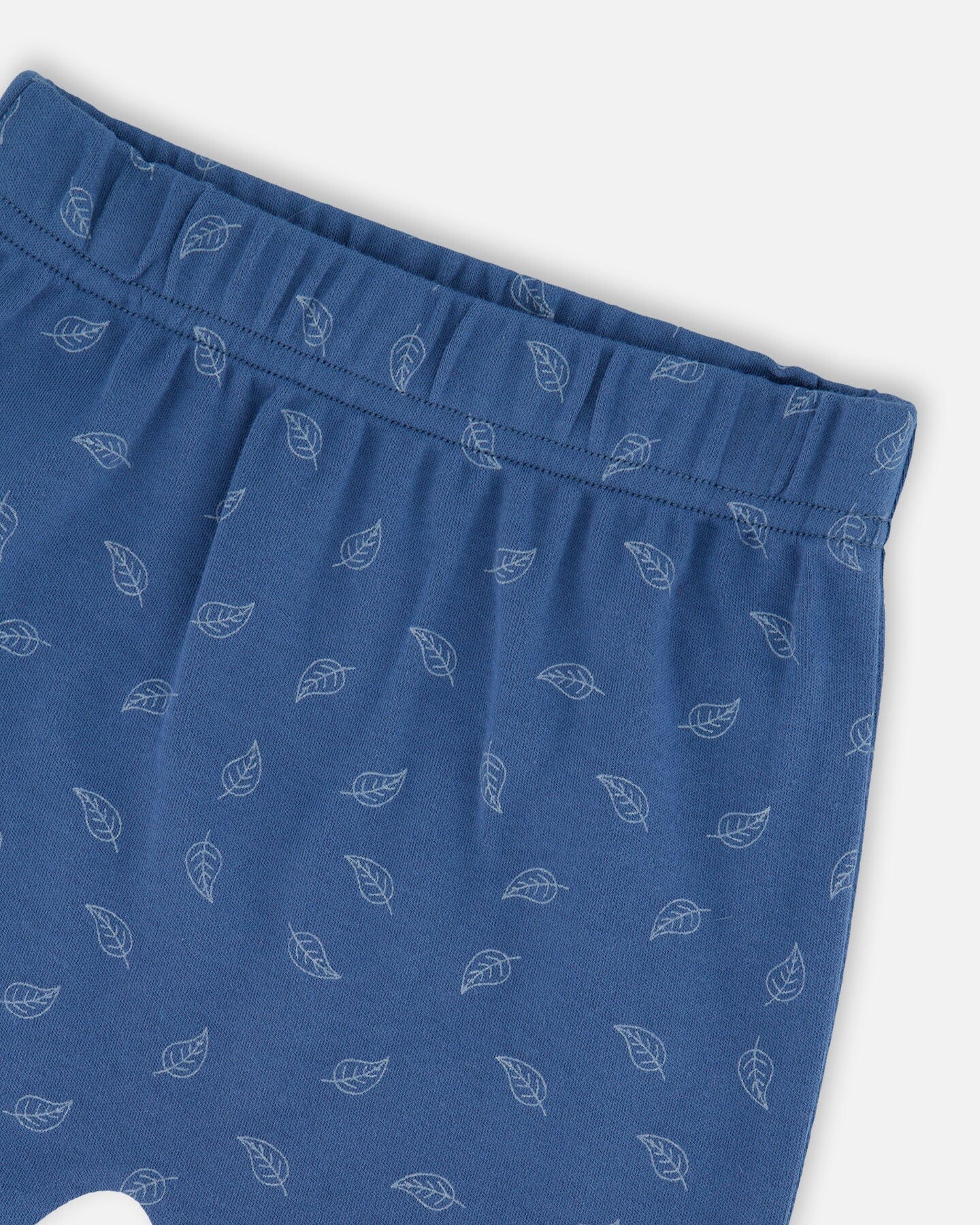 Organic Cotton Pant And Top Set Blue Leaf Print