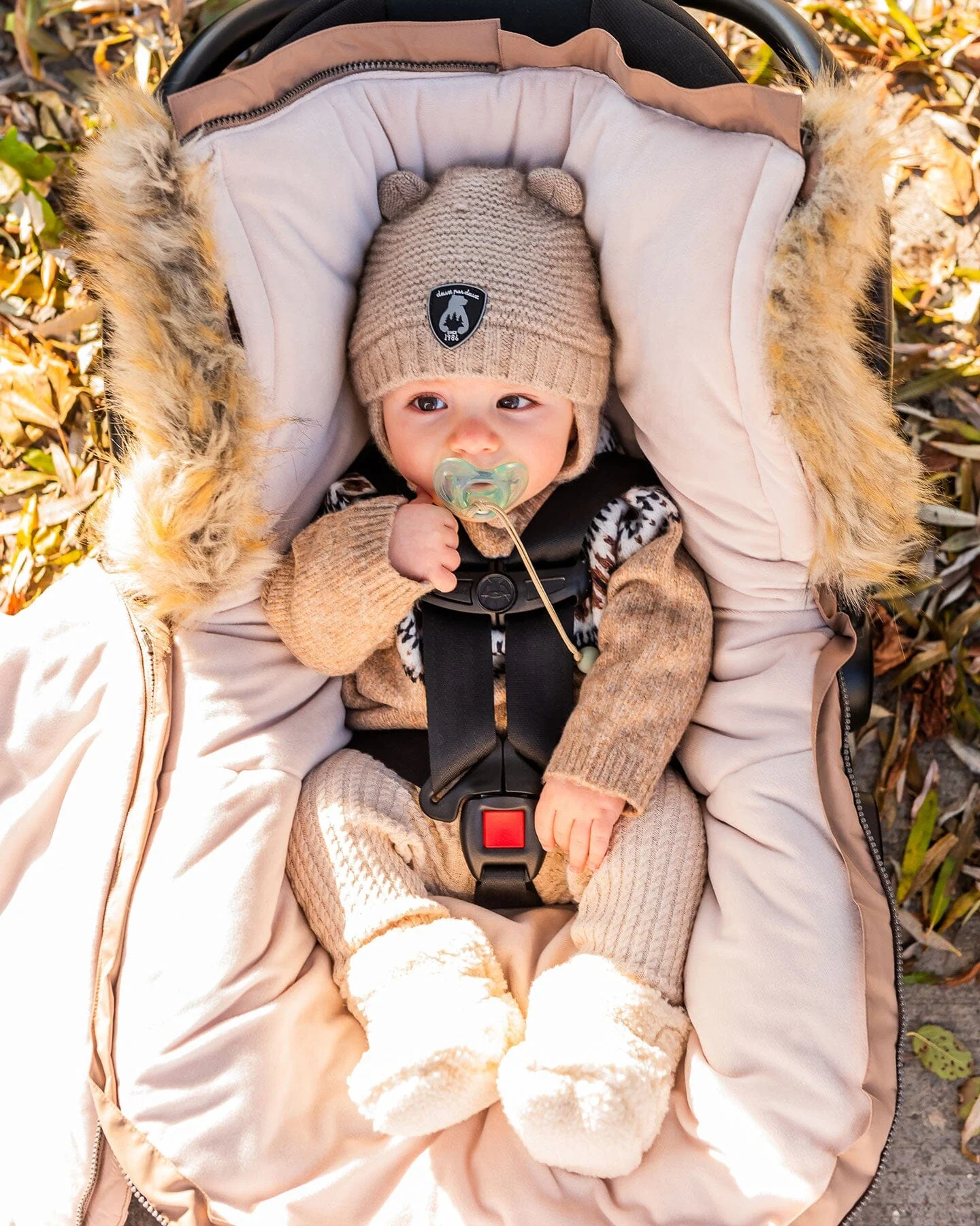 Bunting Bag Designed For Car Seat And Stroller Chanterelle
