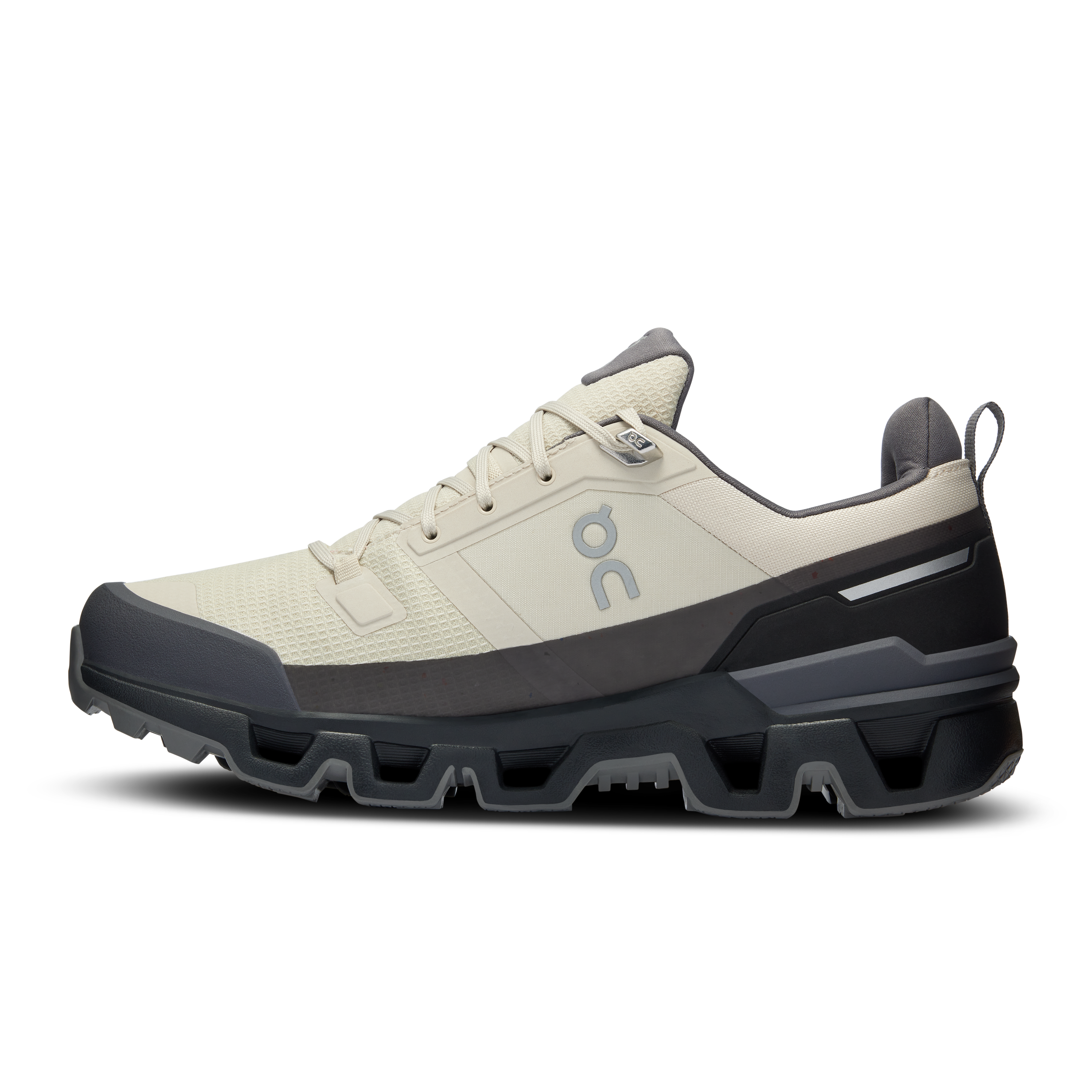 The Cloudwander Waterproof: Multiuse Outdoor Shoe