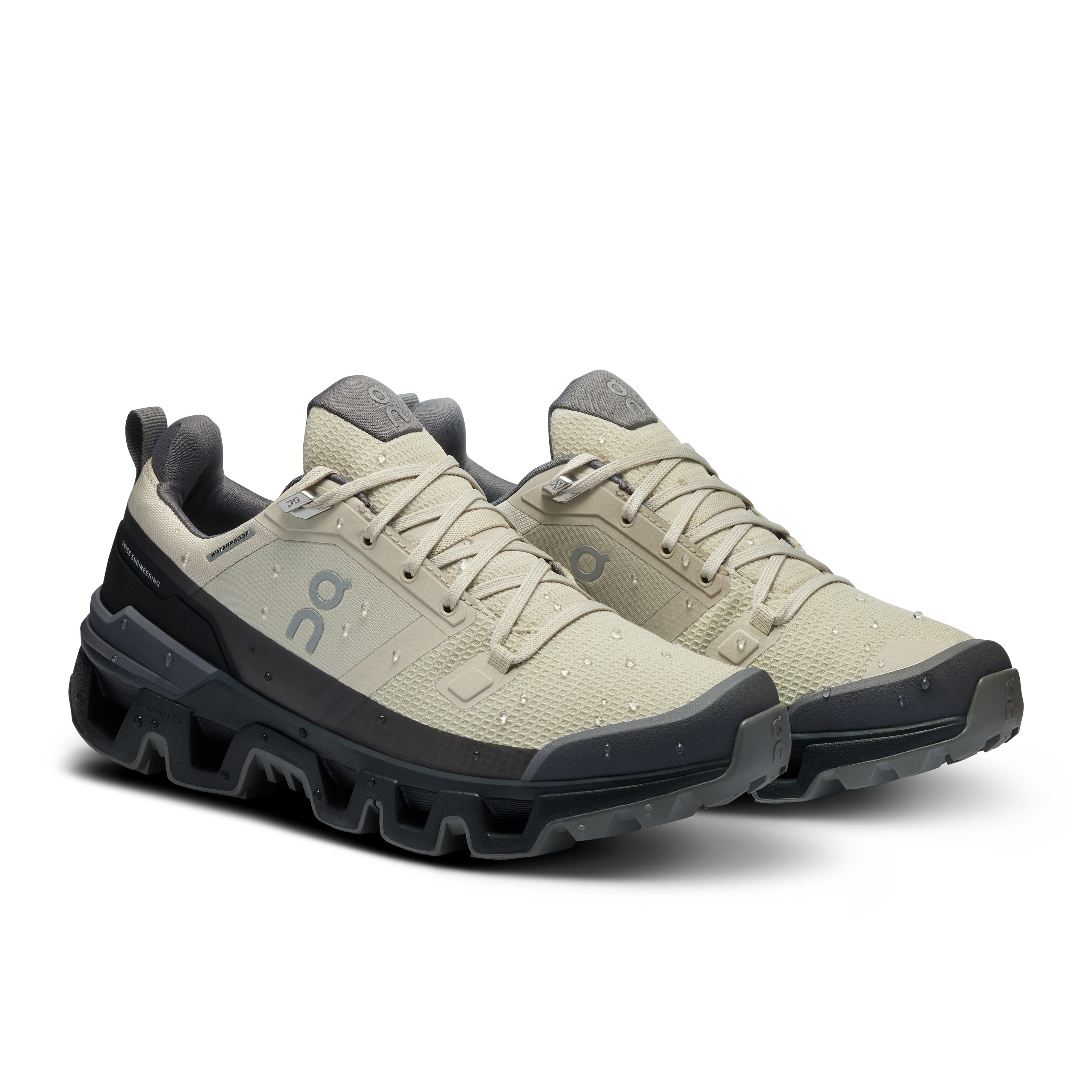 The Cloudwander Waterproof: Multiuse Outdoor Shoe