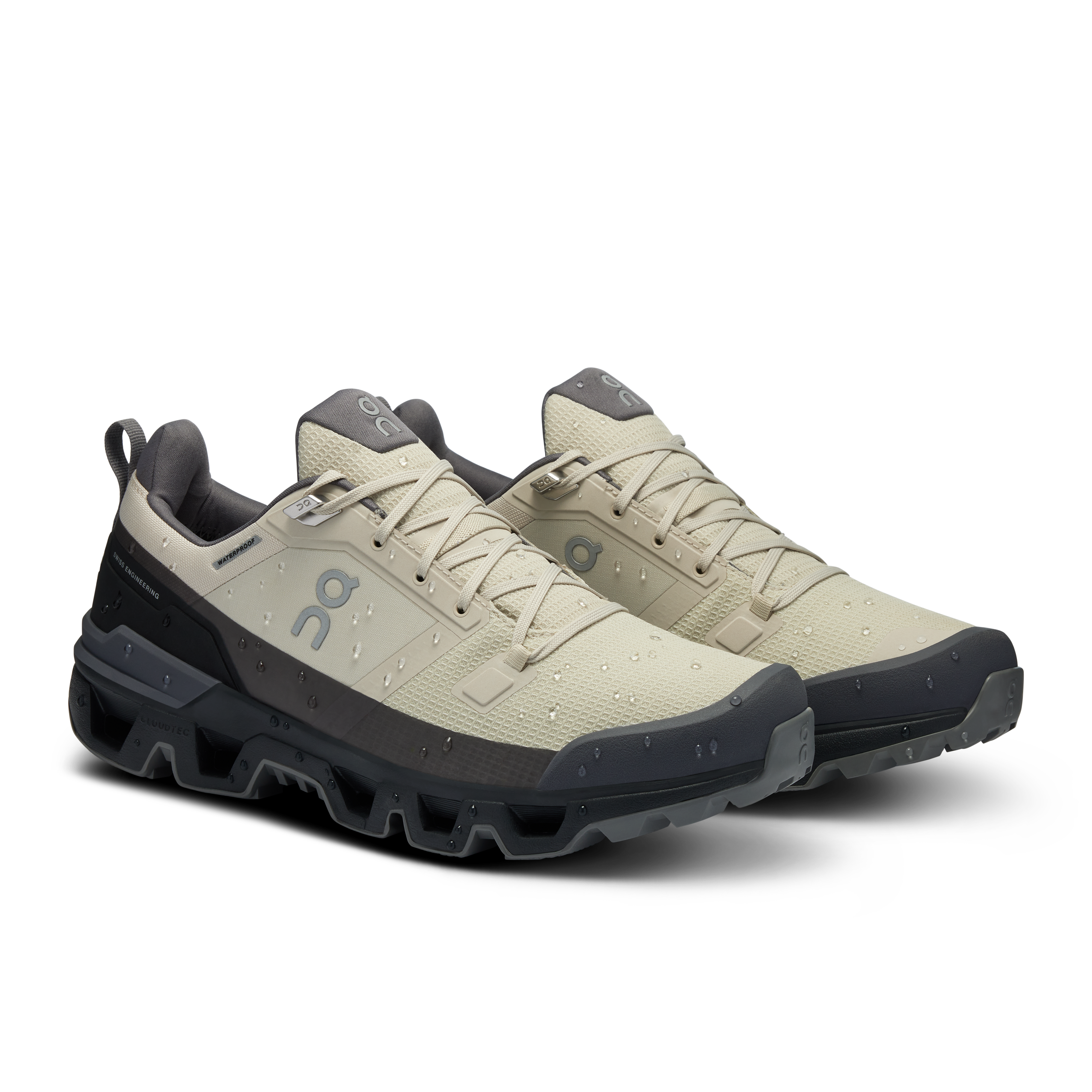 The Cloudwander Waterproof: Multiuse Outdoor Shoe