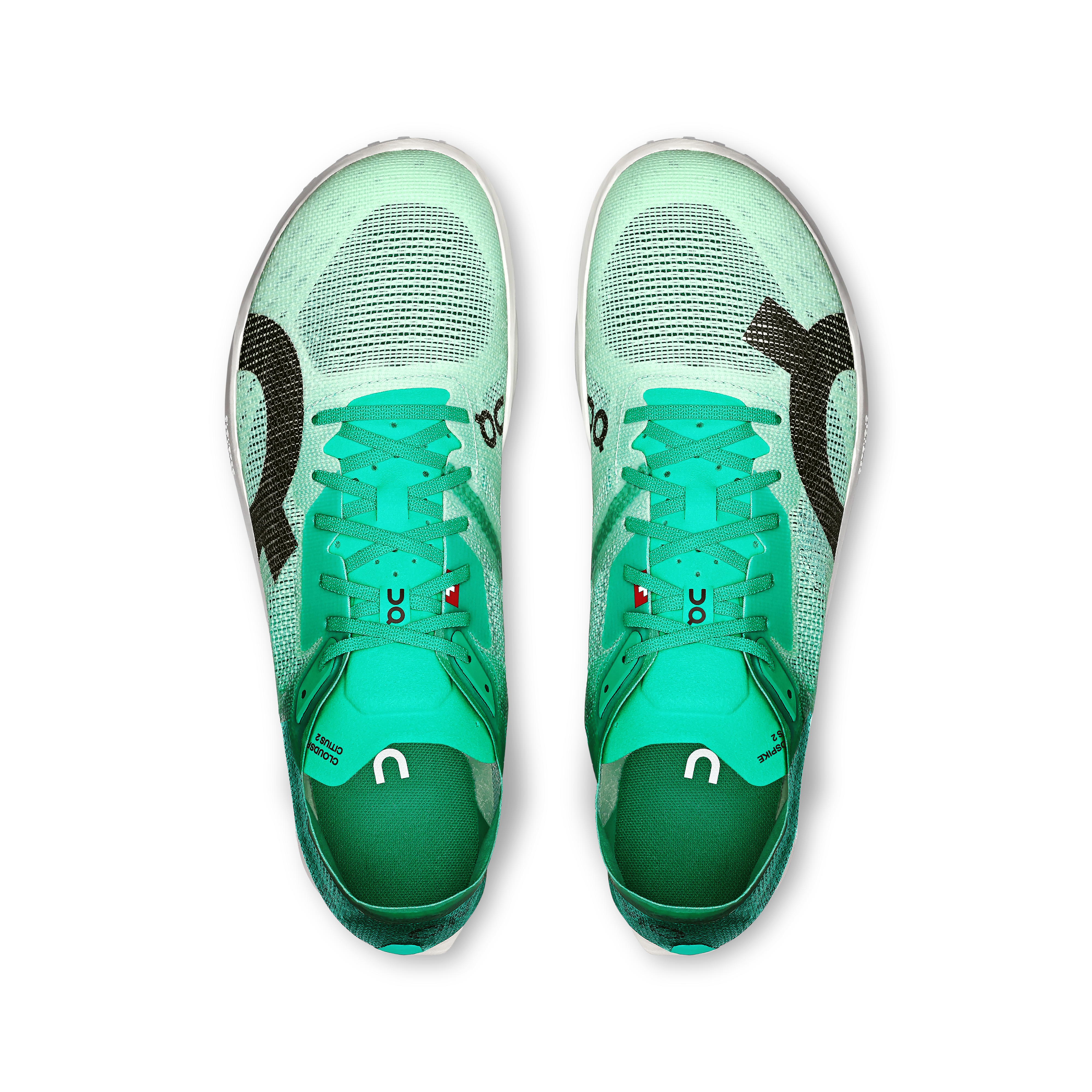 The Cloudspike Citius 2: Men's Mid-Distance Track Spikes