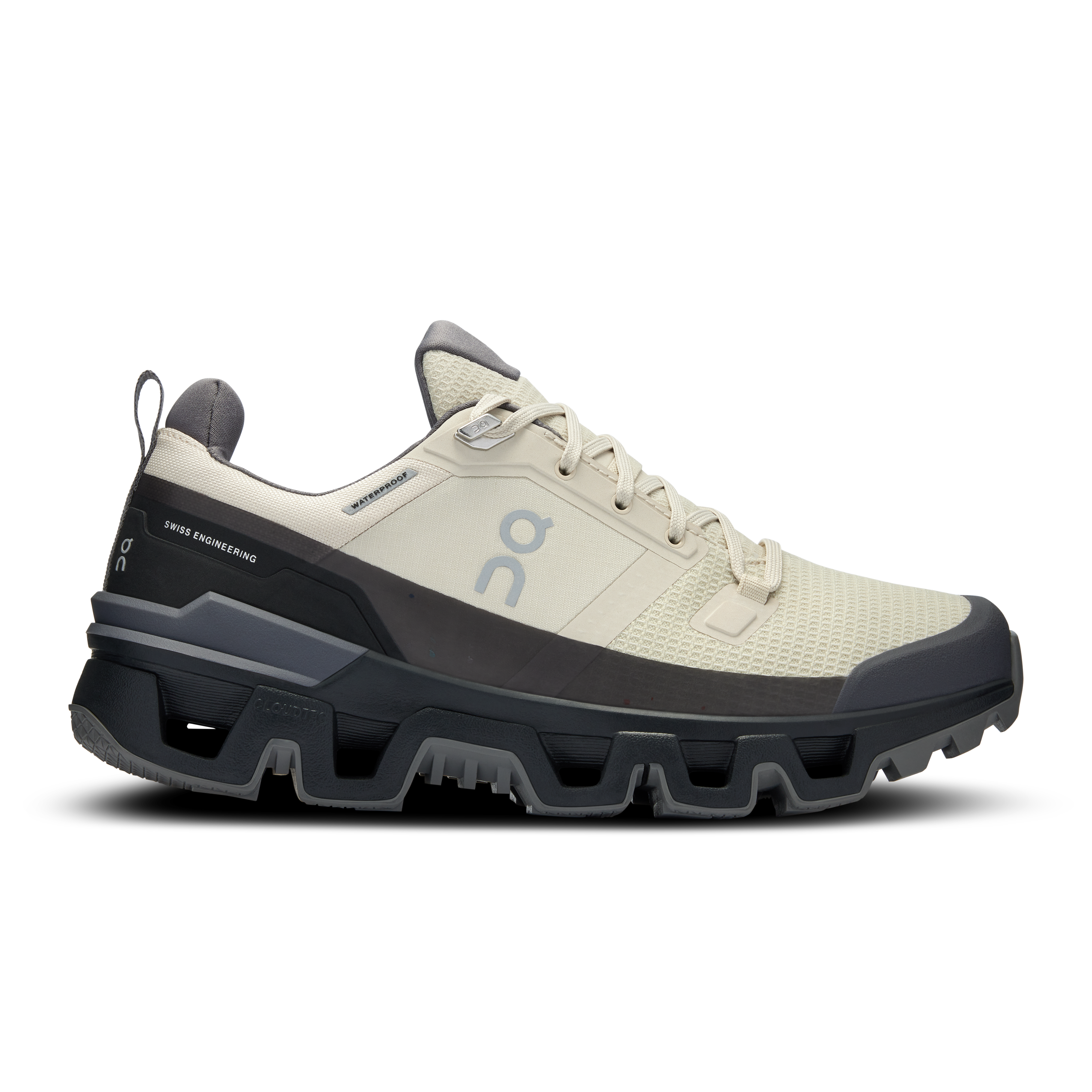 The Cloudwander Waterproof: Multiuse Outdoor Shoe