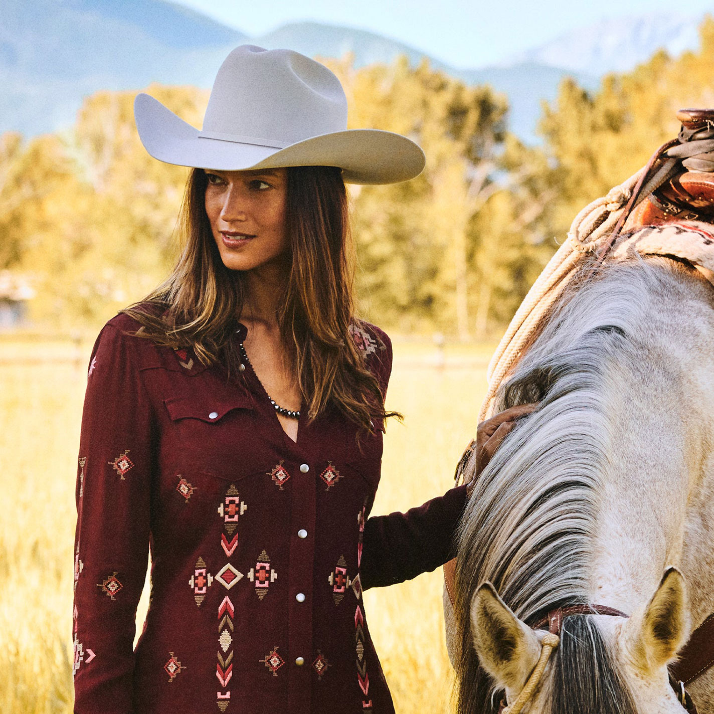Stetson 6X Skyline Silver Gray Felt Cowboy Hat - Image 1