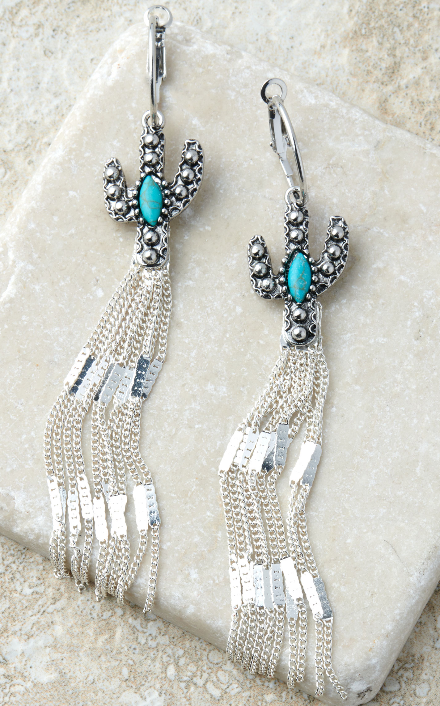 Cowgirl Confetti Silver Hoop, Cactus & Chain Desert Rain Earrings - Image 1