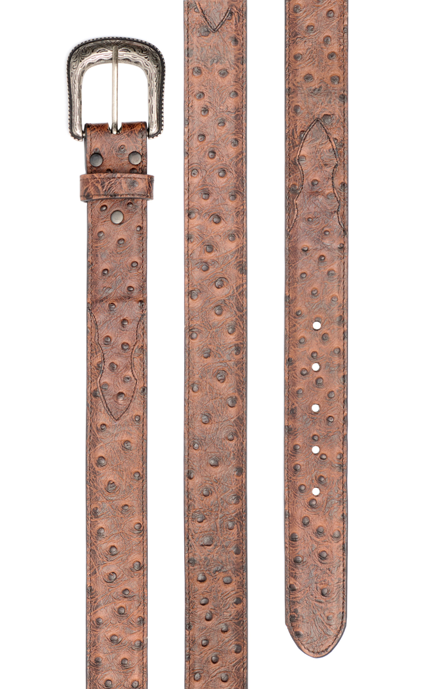Cavender's Men's Chocolate Ostrich Print Western Belt - Image 1