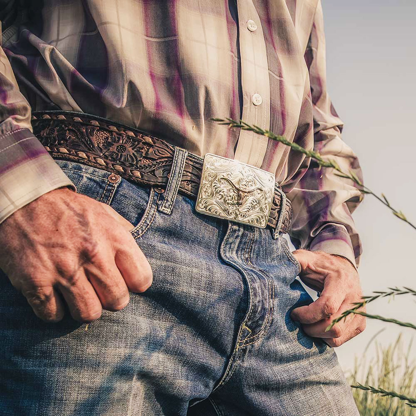 Montana Silversmiths Silver Filigree & Gold Longhorn Belt Buckle - Image 1