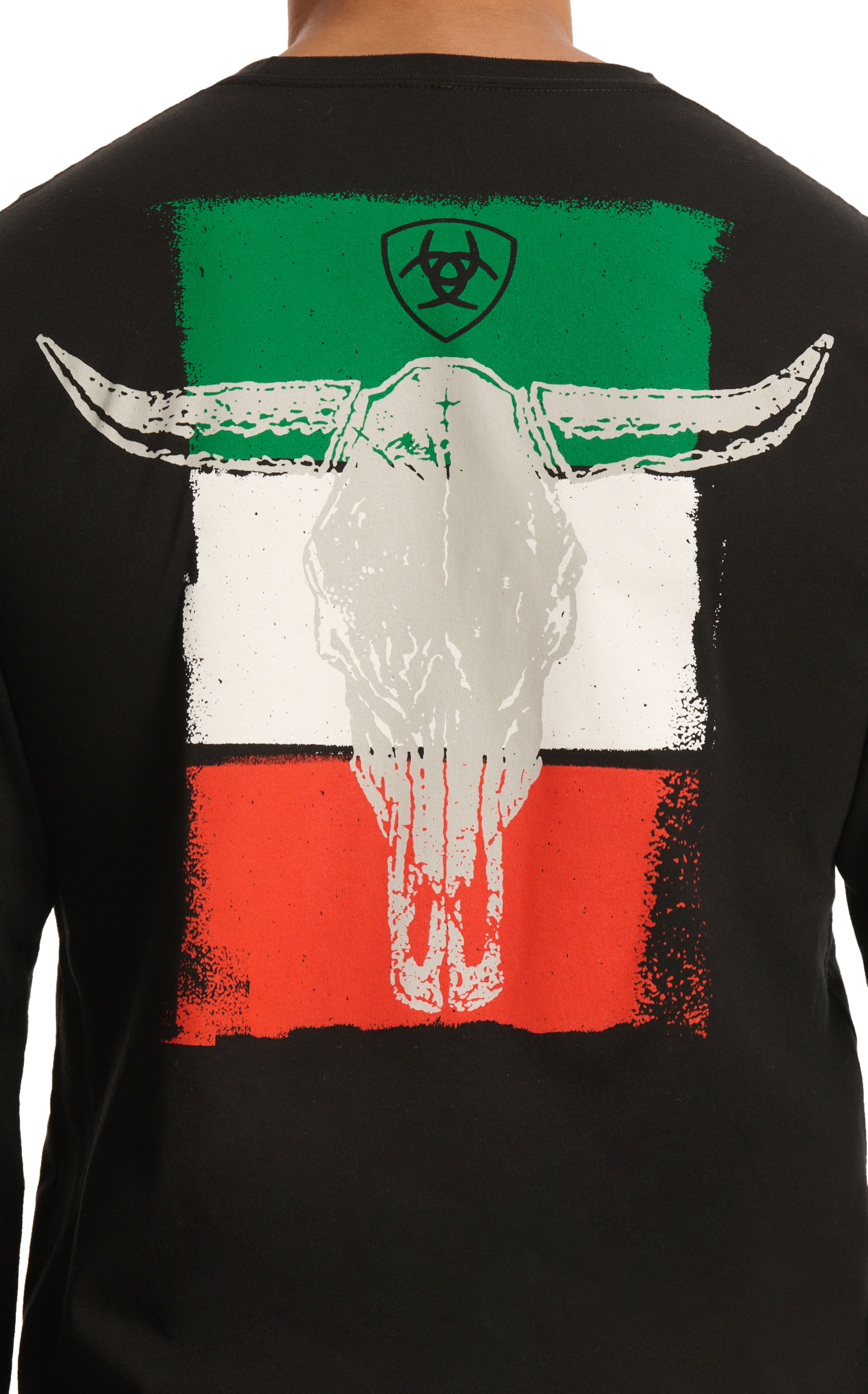 Ariat Men's Black Mexican Skull Flag Logo Graphic T-Shirt - Image 1