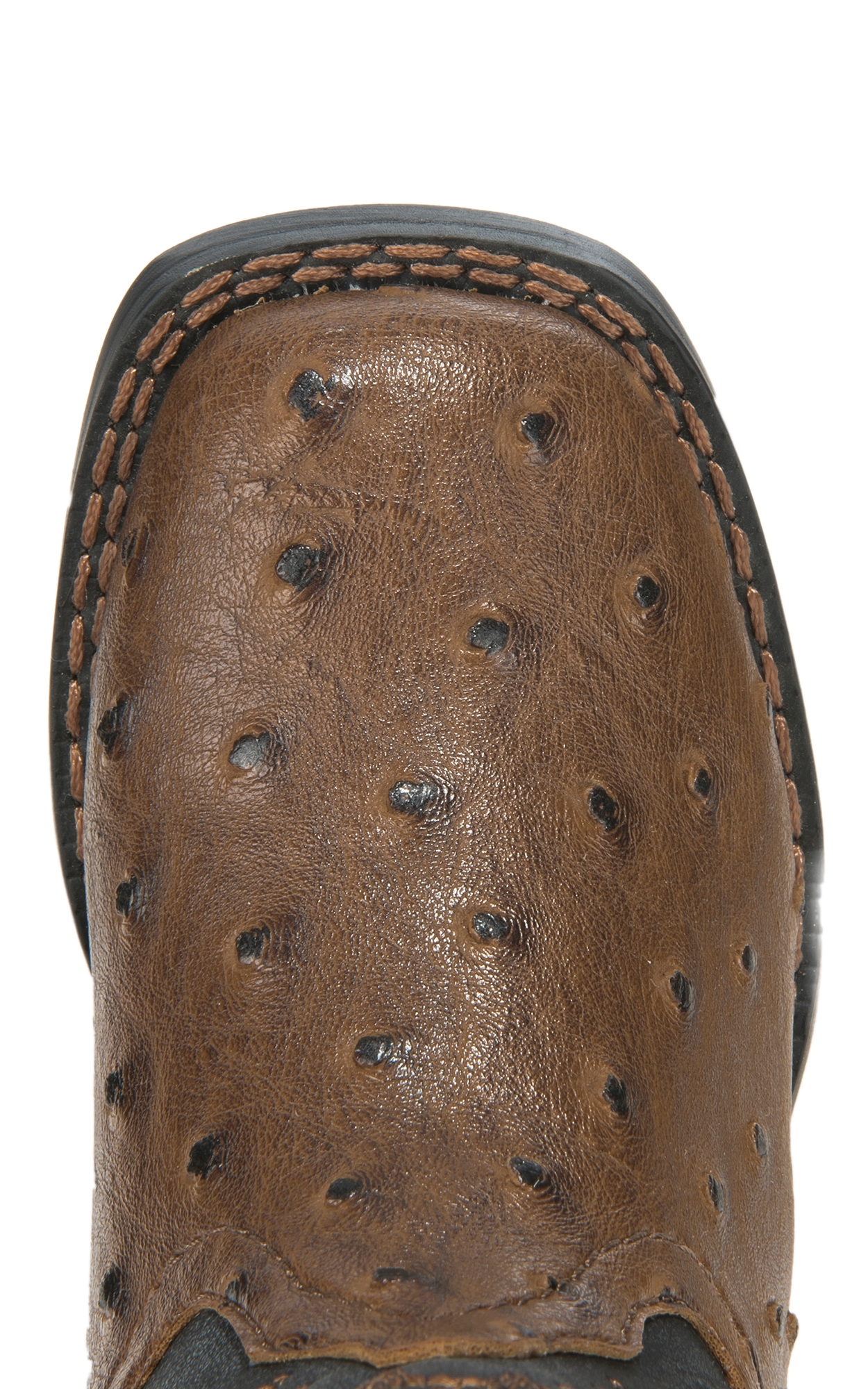 Roper Toddler Brown Ostrich Print and Black Square Toe Cowboy Boots - Image 1
