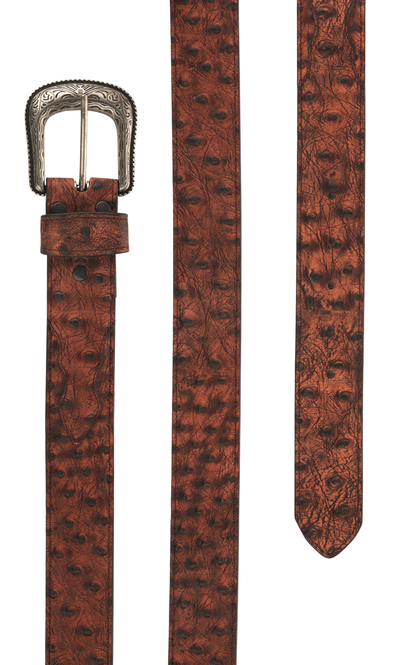 Cavender's Men's Rich Brown Ostrich Print Western Belt - Image 1