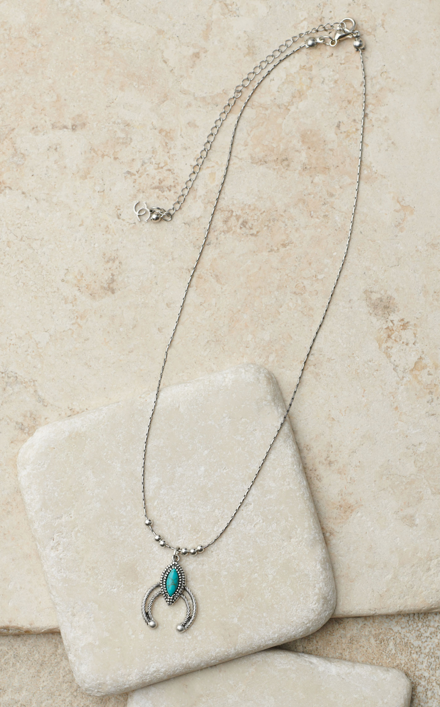 Cowgirl Confetti Silver Rope & Turquoise Pendant Necklace  - Image 1