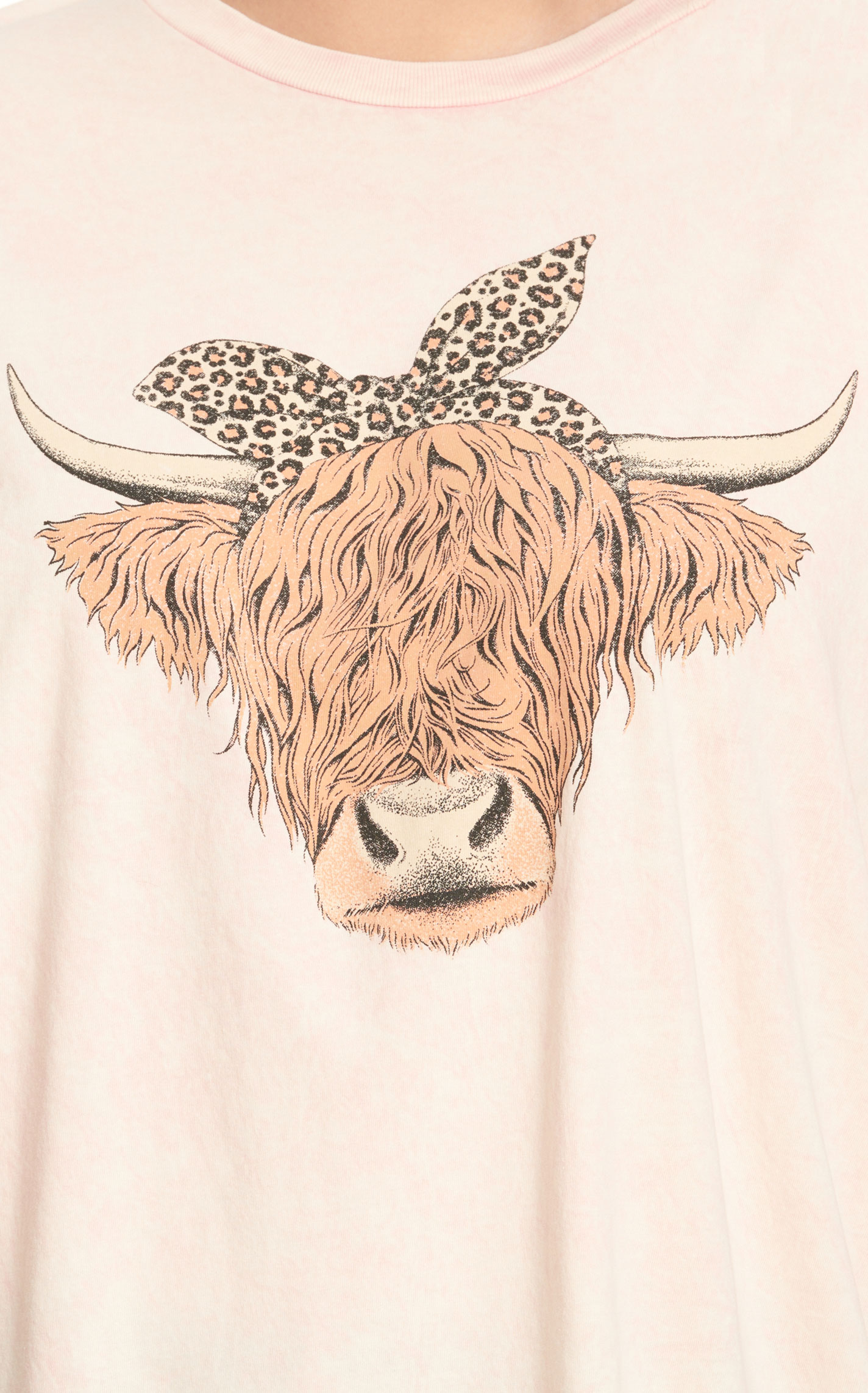 Lotus Fashion Women's Pale Pink & Highlander Cow Graphic T-Shirt - Plus Sizes - Image 1