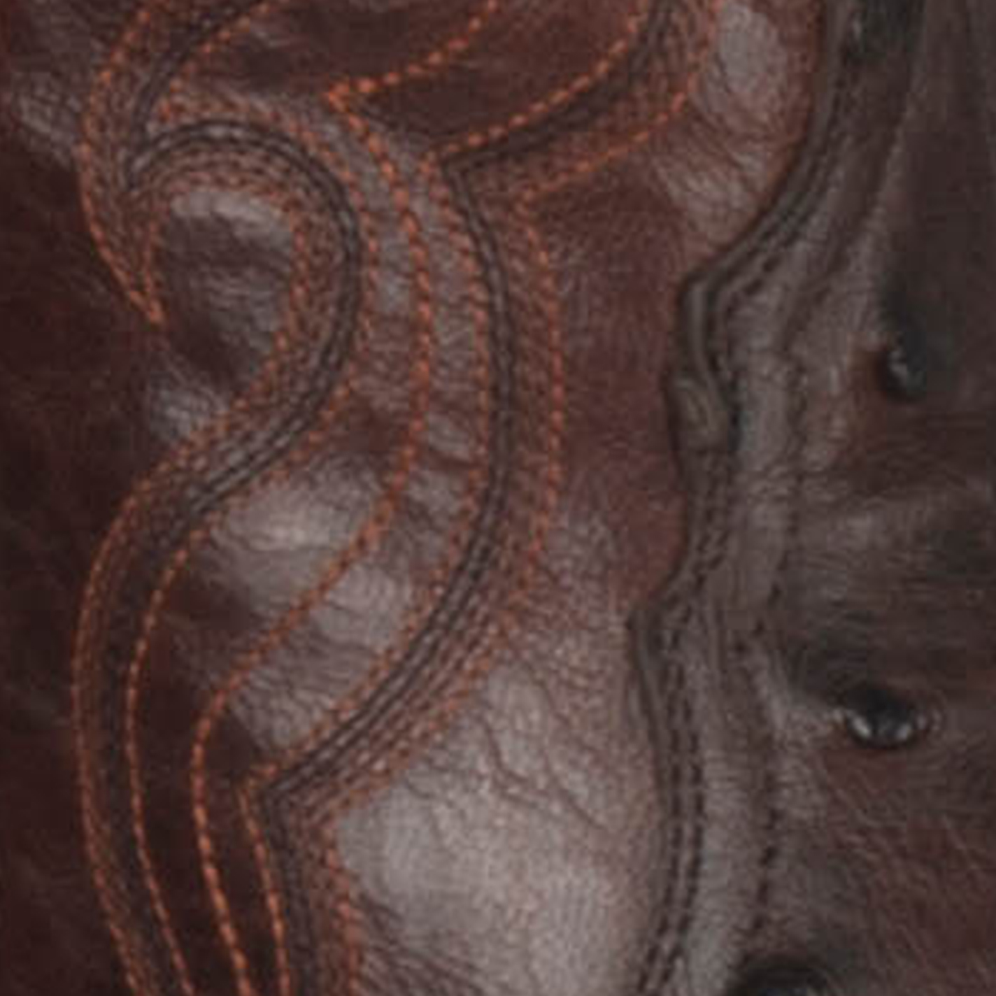 Cavender’s Women’s Full Quill Ostrich Black Exotic Snip Toe Cowboy Boots - Image 1