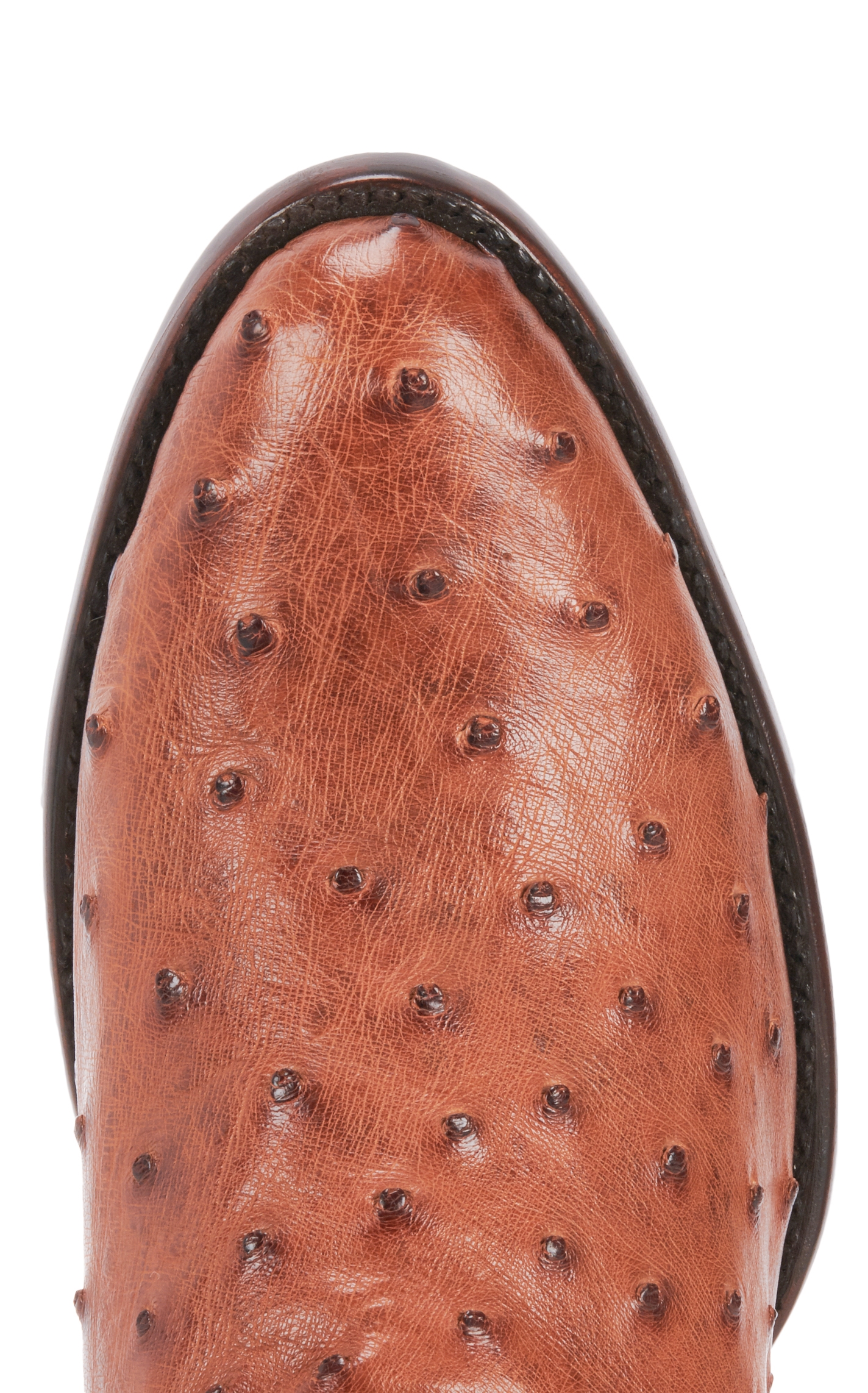 JRC & Sons Men's Jose Full Quill Ostrich Round Toe Exotic Cowboy Boot in Peanut Brittle - Image 1