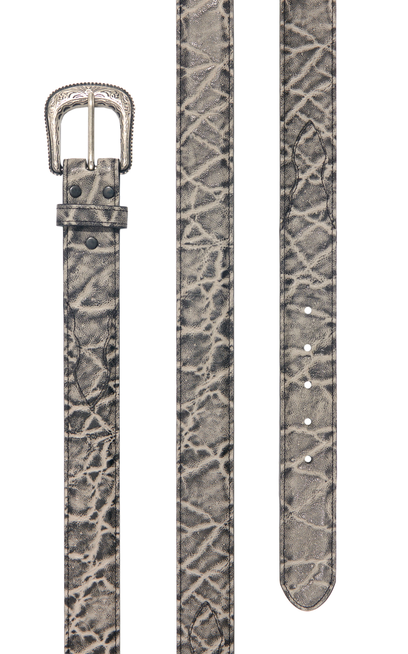 Cavender's Men's Gray Elephant Print Leather Belt with Silver Buckle - Image 1