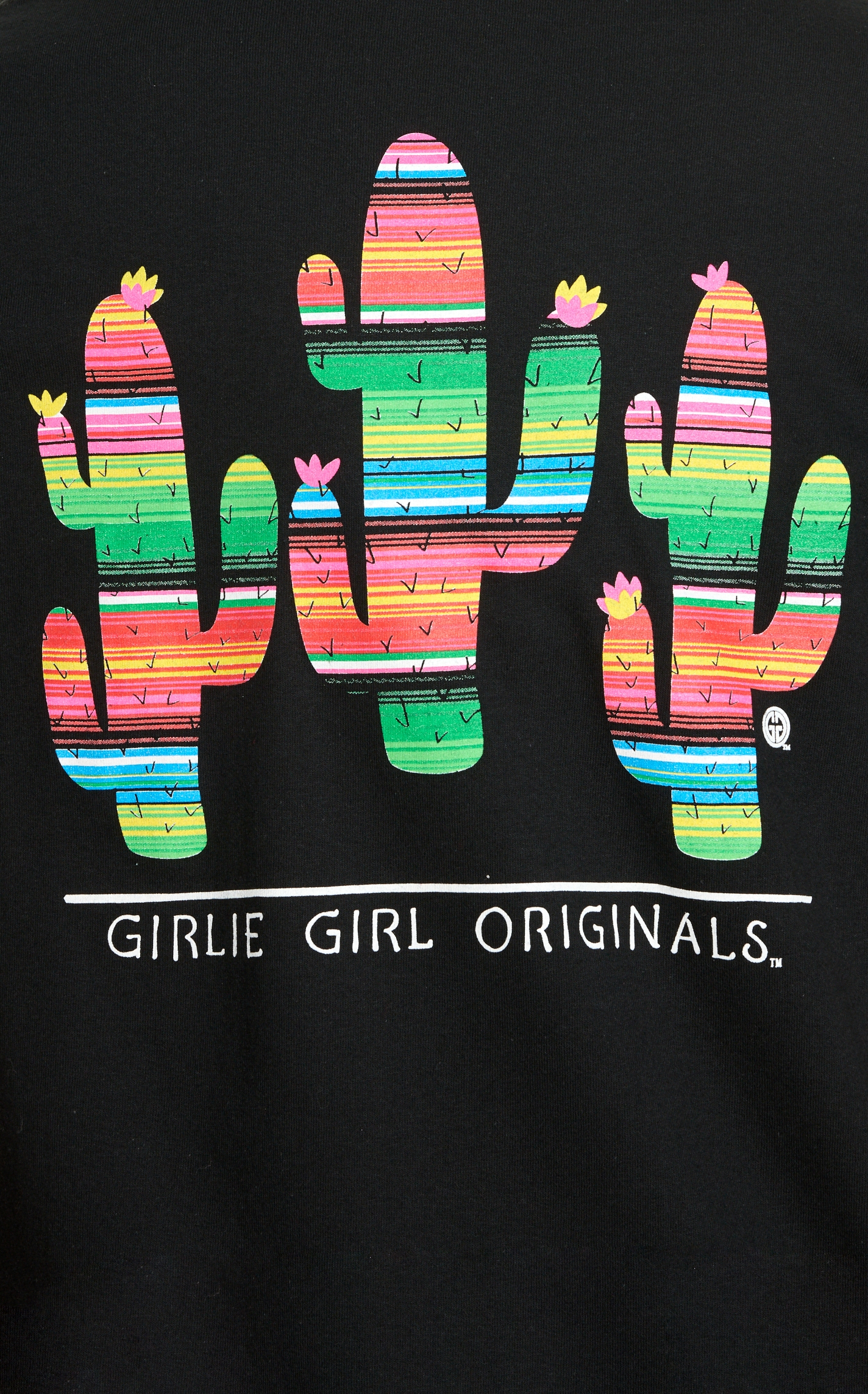 Girlie Girl Originals Women's Black Serape Cactus Short Sleeve T-Shirt - Image 1