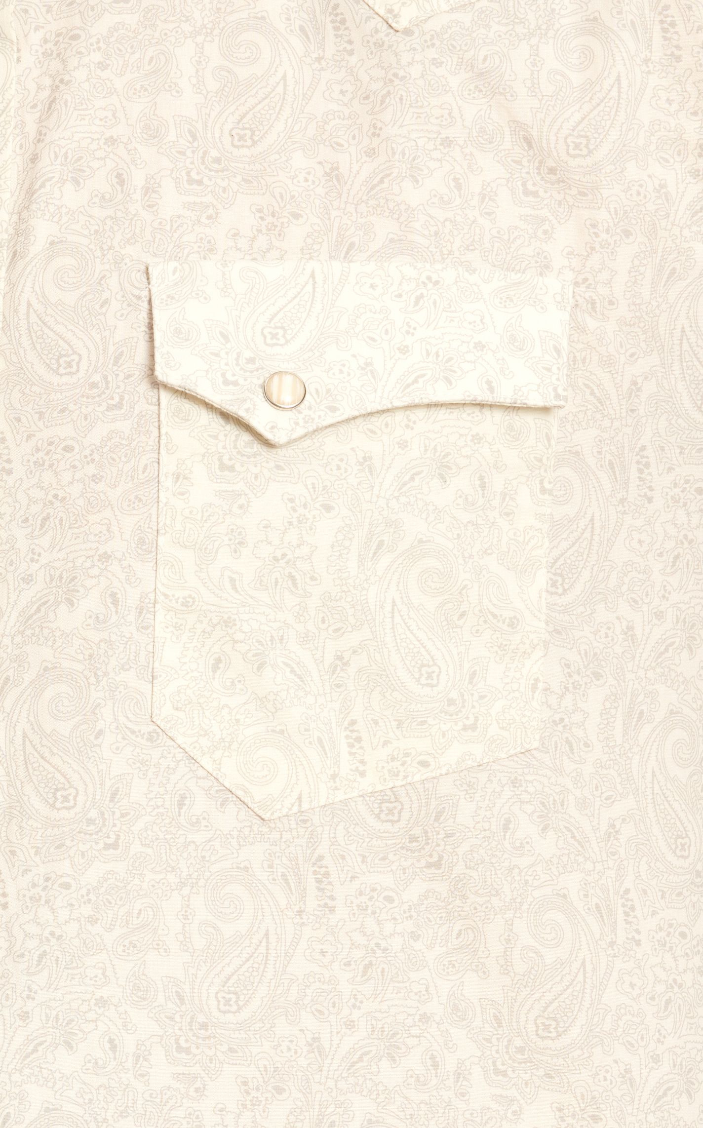 Panhandle Men's Cream & Pale Gray Paisley Western Shirt - Image 1