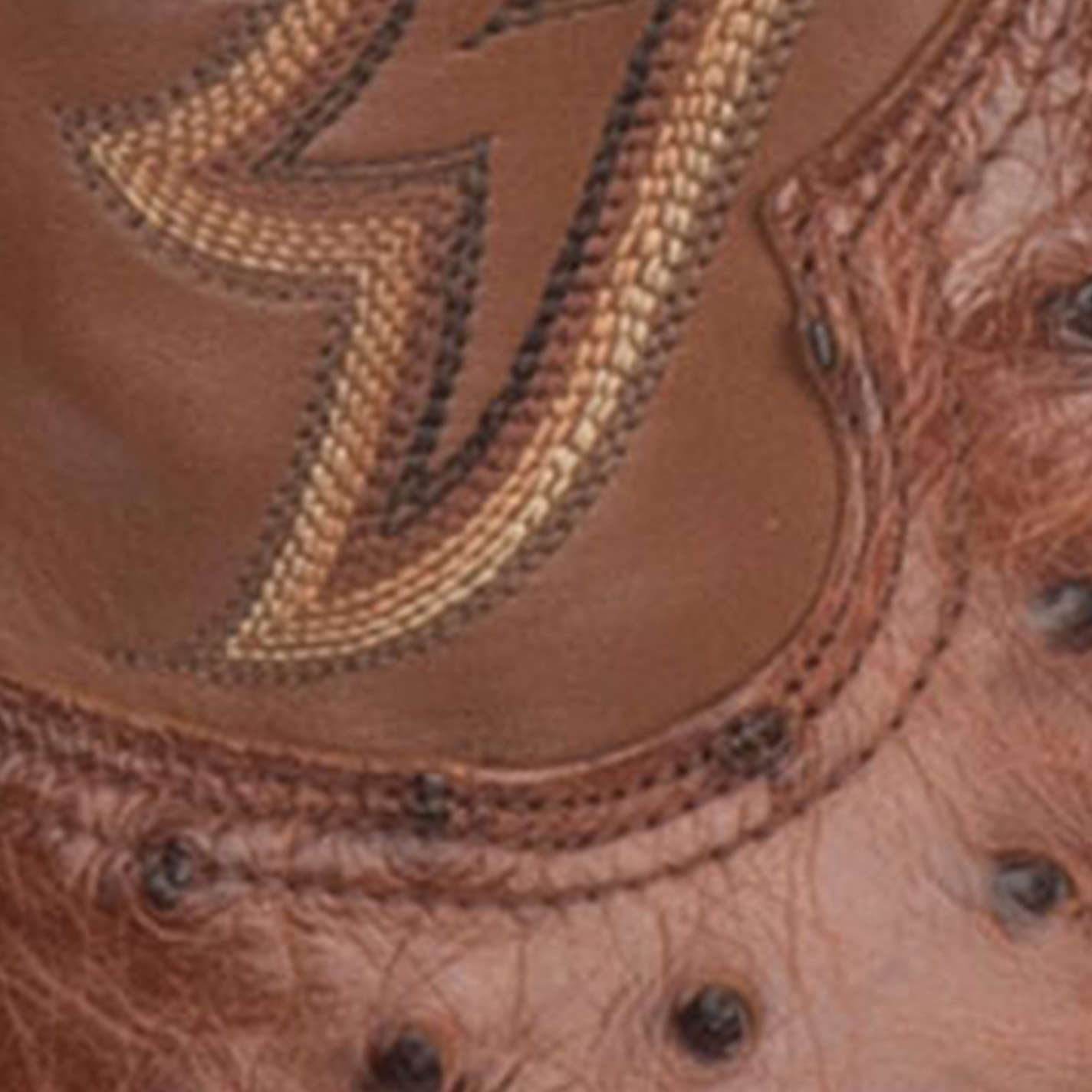 Tony Lama Men's Tan and Brandy Full Quill Ostrich Wide Square Toe Exotic Cowboy Boot - Cavender's Exclusive - Image 1