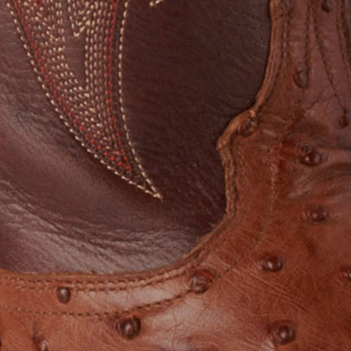 JRC & Sons Women’s Jacqueline Cognac Full Quil Ostrich Snip Toe Tall Cowboy Boots - Image 1