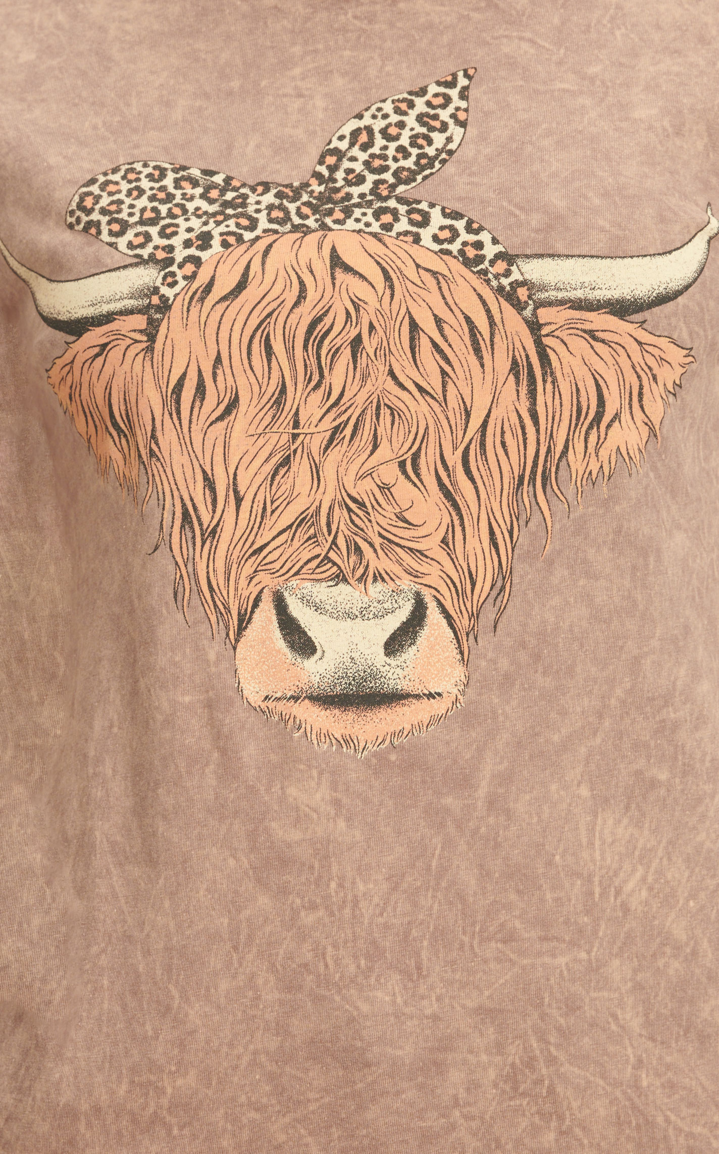 Lotus Fashion Women's Mocha Cinnamon Highland Cow Graphic Short Sleeve T-Shirt - Image 3
