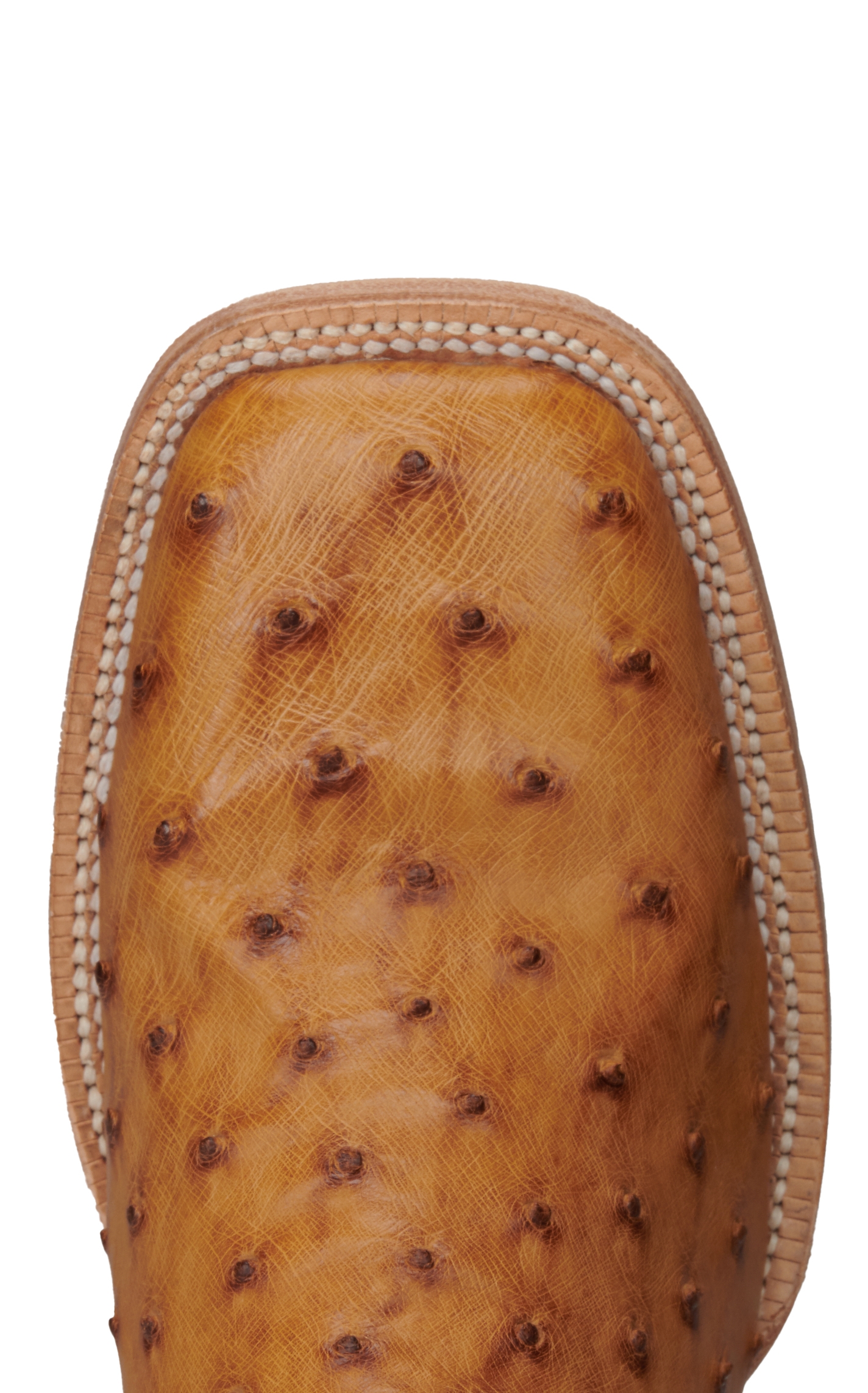 R Watson Men's Antique Saddle Full Quill Ostrich and Royal Blue Wide Square Toe Exotic Cowboy Boots - Image 1