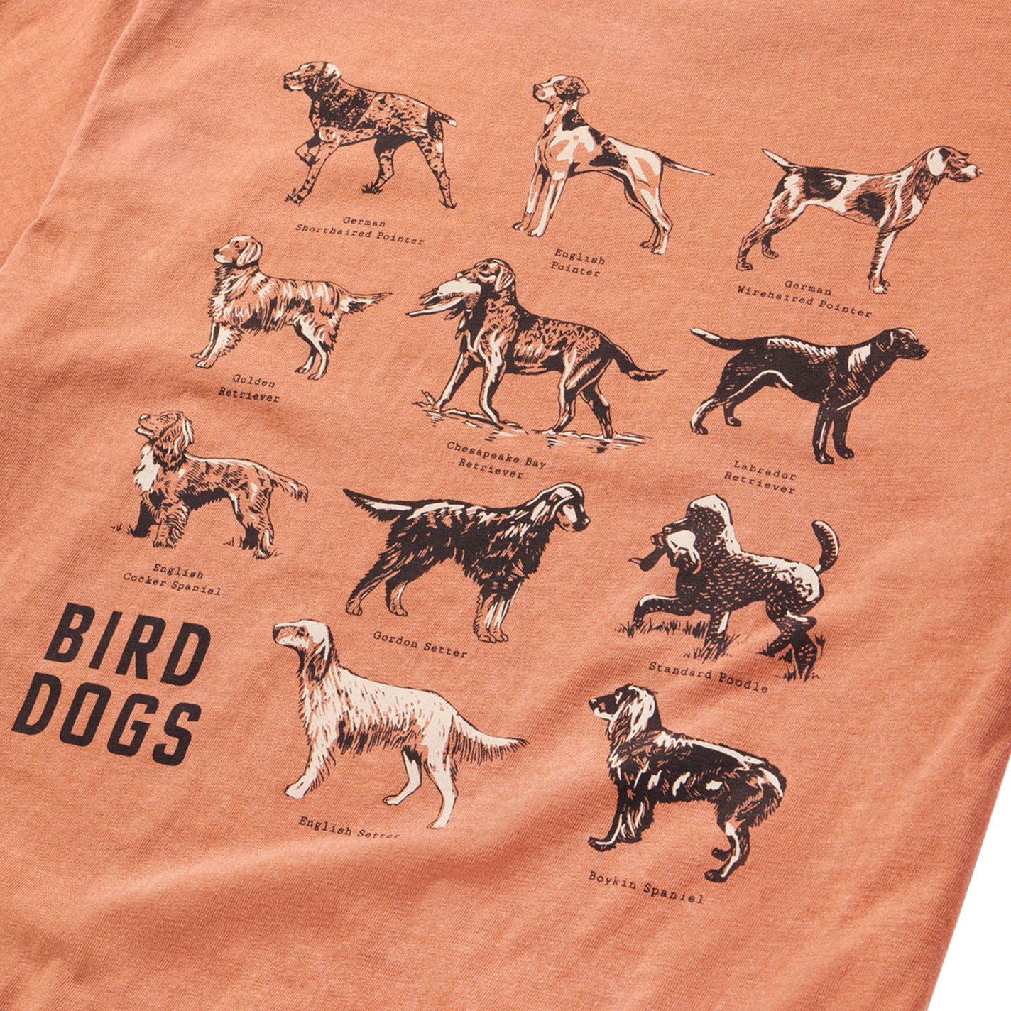 Duck Camp Men's Clay Bird Dogs Graphic T-Shirt - Image 1