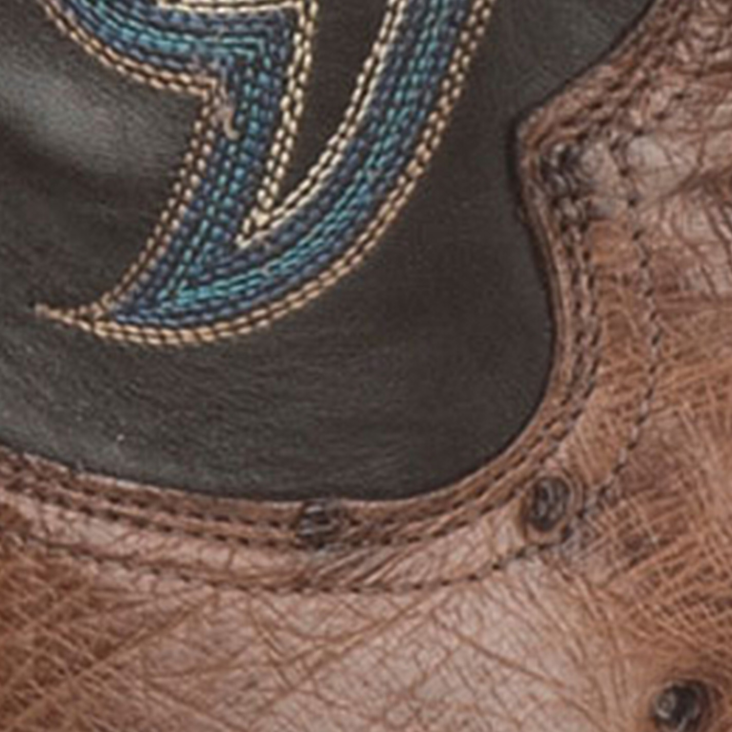 Tony Lama Men's Kango Tobacco and Chocolate Full Quill Ostrich Wide Square Toe Exotic Cowboy Boot - Cavender's Exclusive - Image 1
