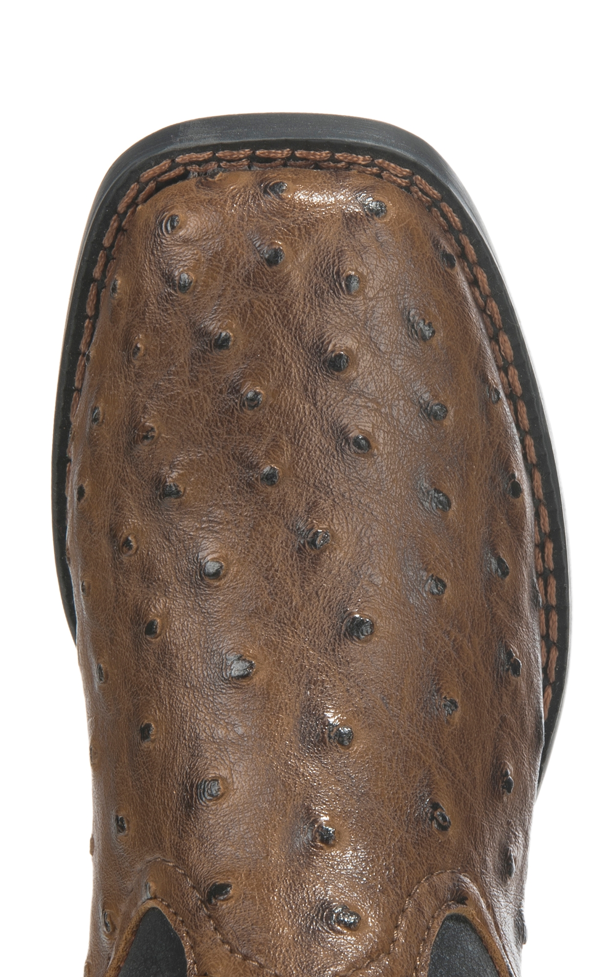 Roper Youth Black with Brown Ostrich Print Square Toe Cowboy Boots - Image 1