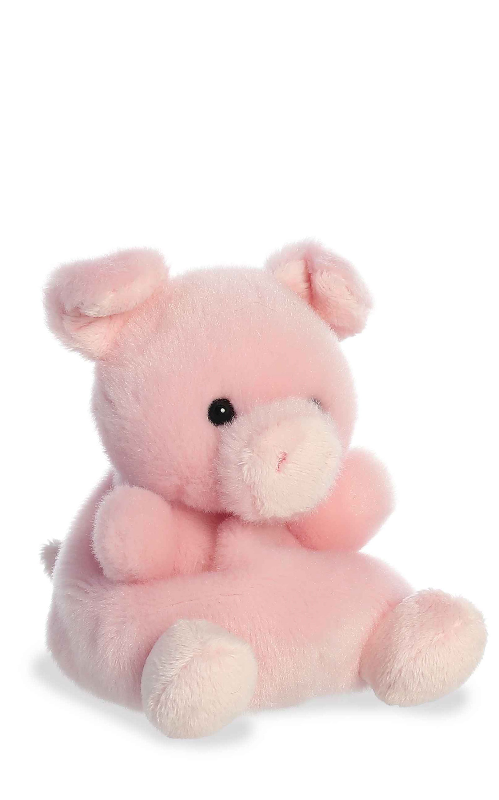 Aurora Palm Pal Pink Wizard Pig Stuffed Animal - Image 1