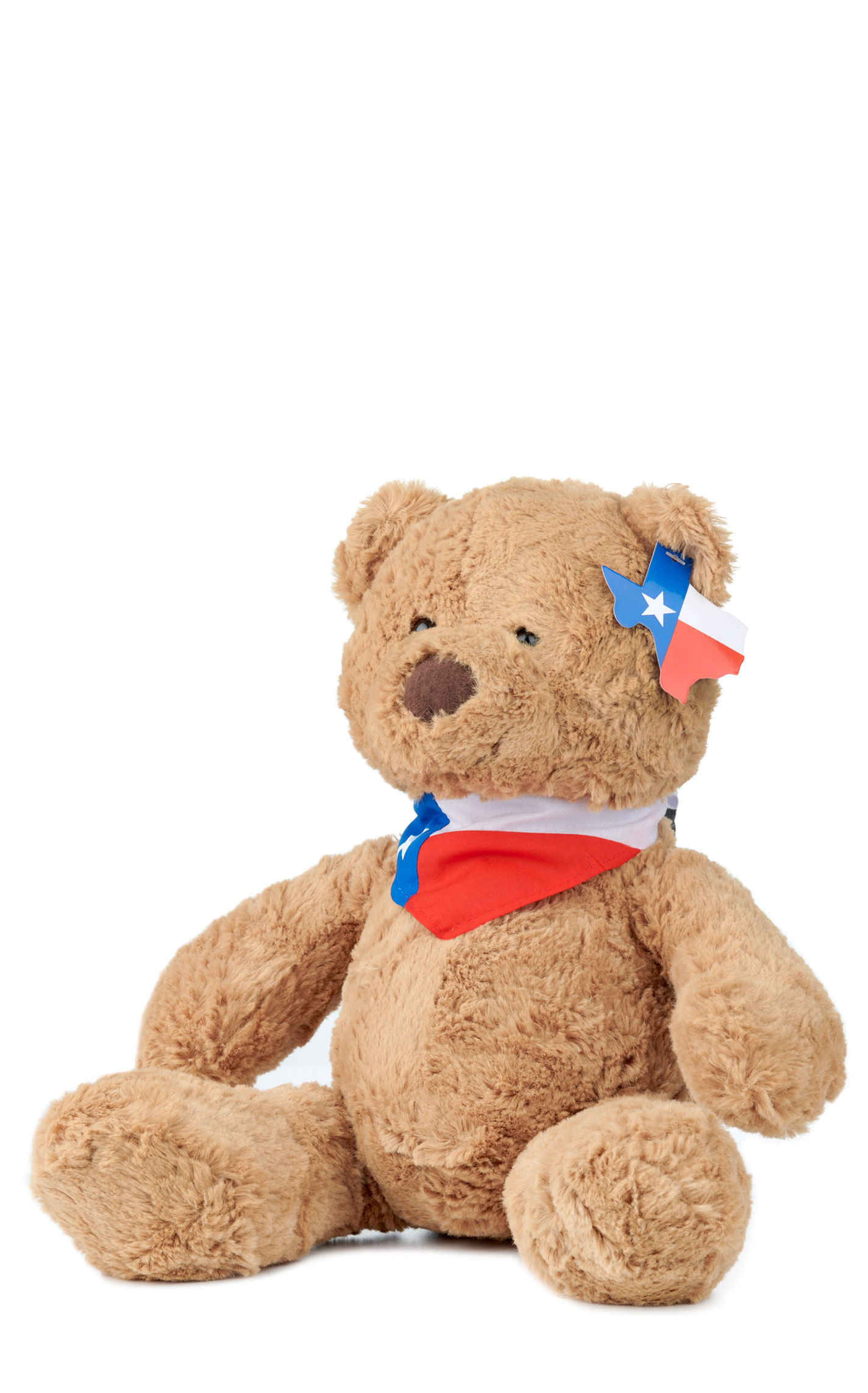 Texas Products Texas Teddy Bear Stuffed Animal - Image 1