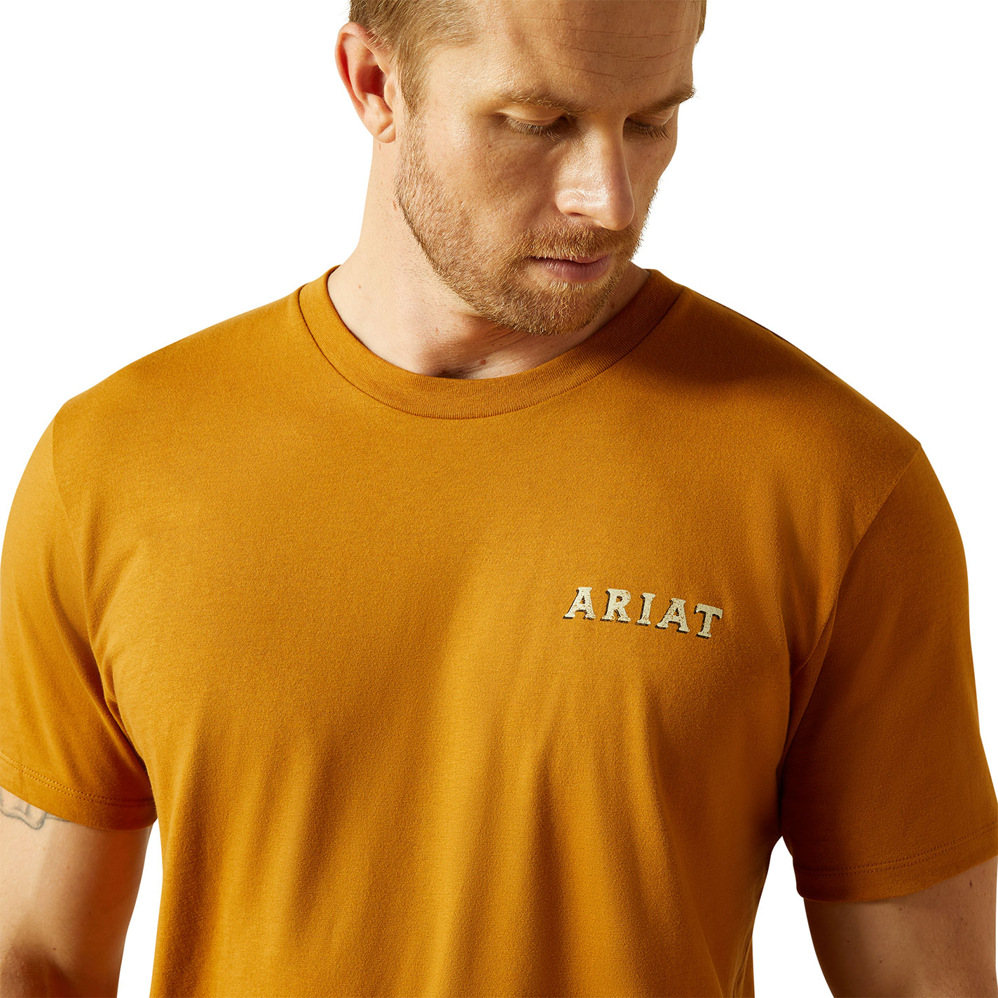 Ariat Men's Bone Brown Scorpion Seal Graphic T-Shirt - Image 1