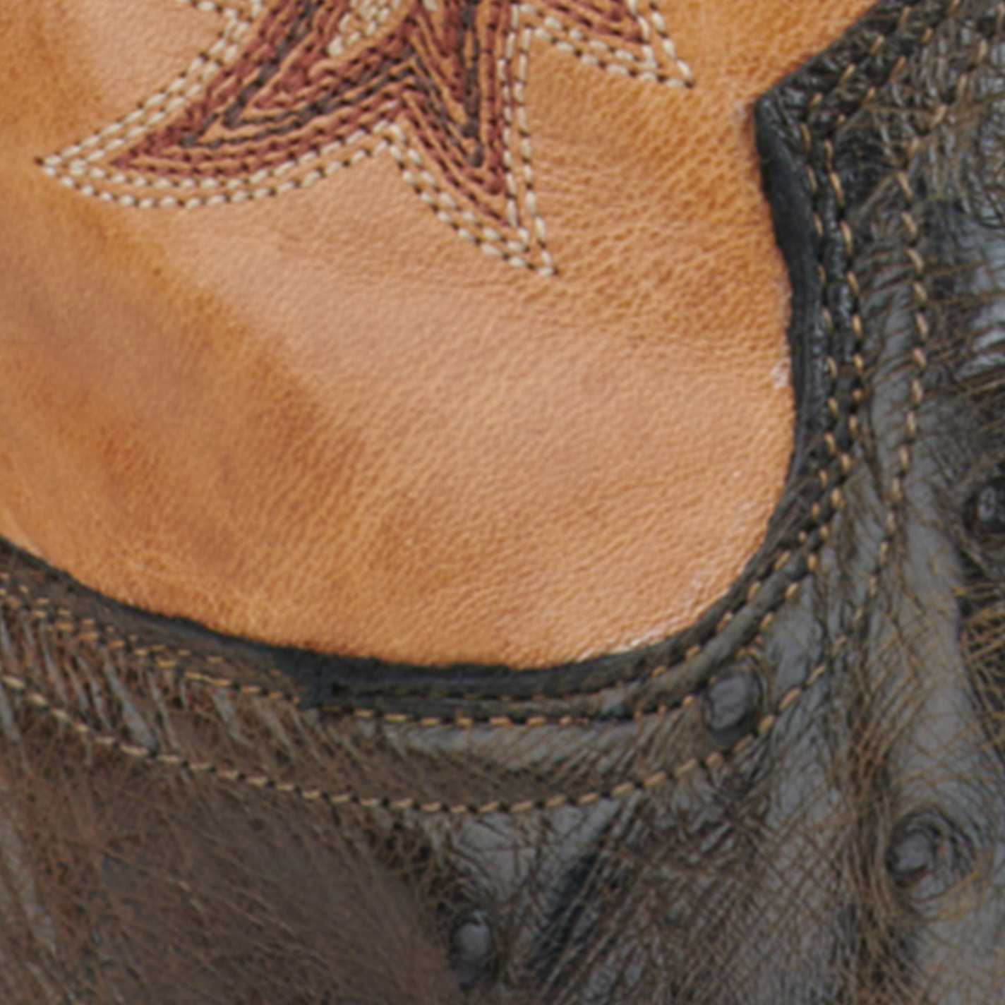 Tony Lama Men's Dark Brown Full Quill Ostrich and Tan Wide Square Toe Exotic Cowboy Boots - Cavender's Exclusive - Image 1