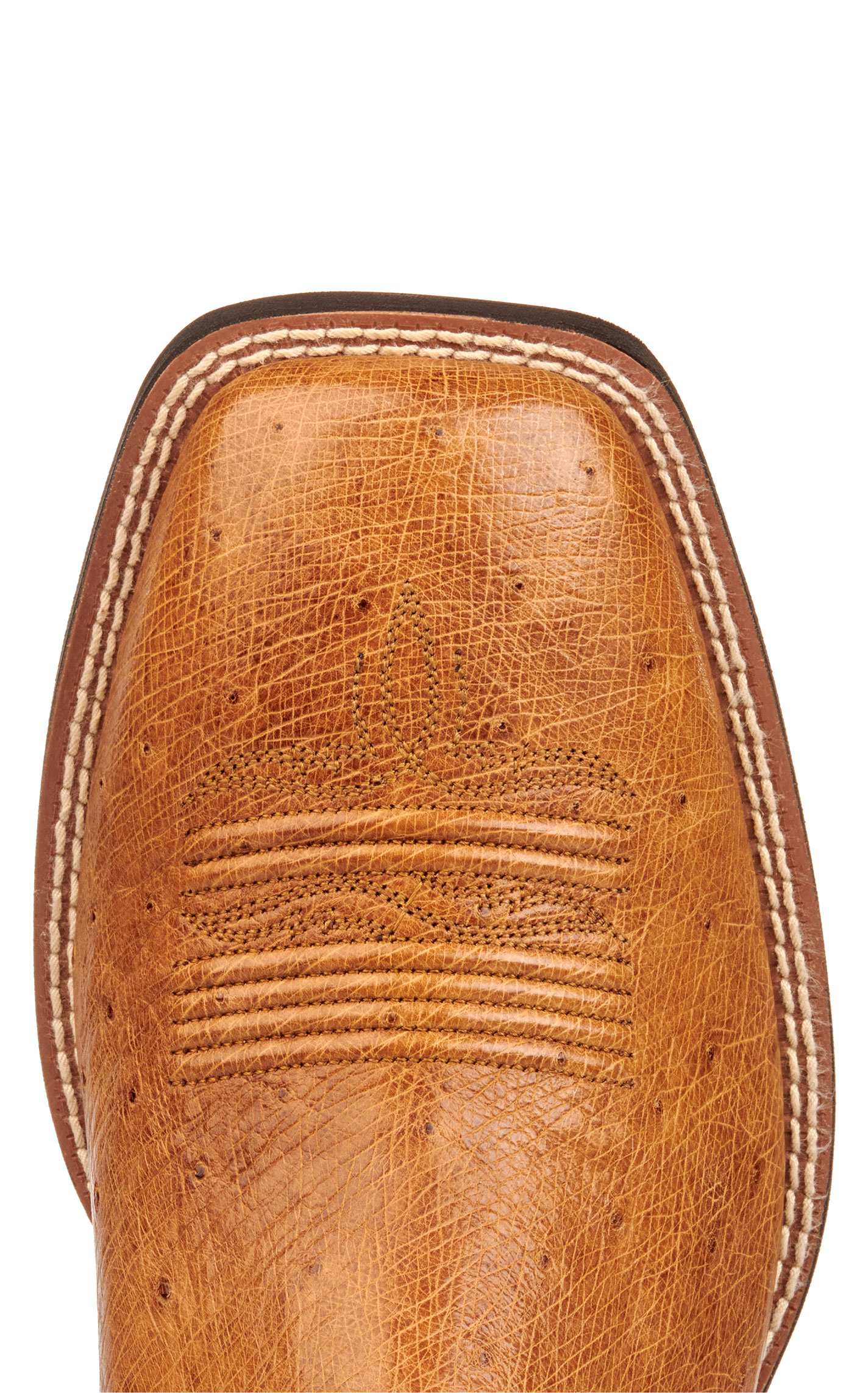 Ariat Men's Reckoning Antique Saddle Brown and Black Smooth Quill Ostrich Shock Shield Wide Square Toe Exotic Cowboy Boot - Image 1