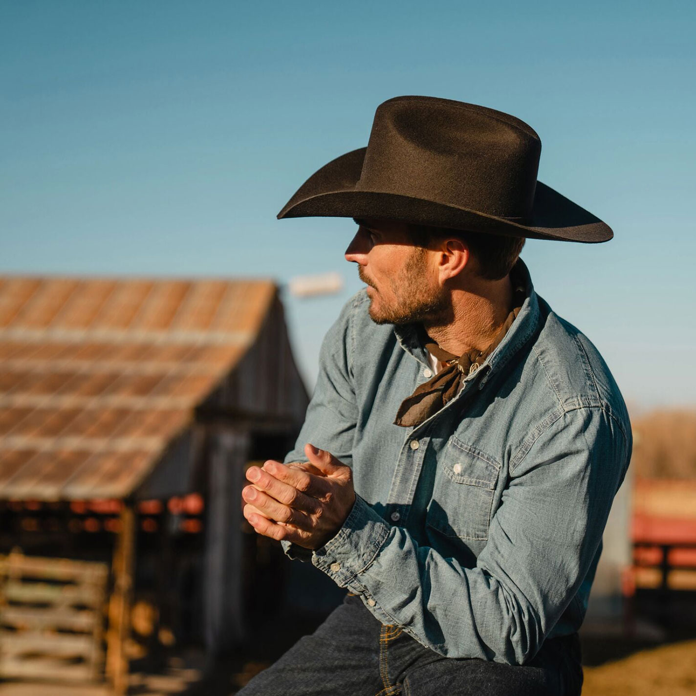 Stetson Chocolate 4X Bison Cattleman Felt Cowboy Hat - Image 3