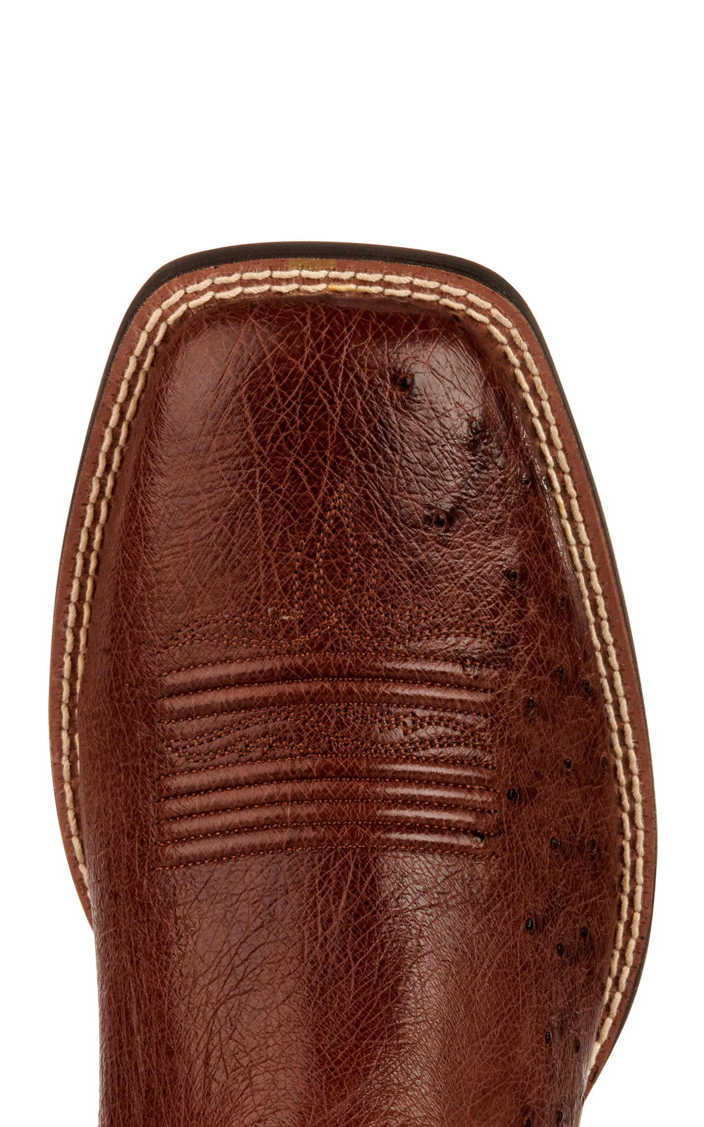 Ariat Men's Reckoning Nut Brown and Dark Tabac Smooth Quill Ostrich Shock Shield Wide Square Toe Exotic Cowboy Boot - Image 1
