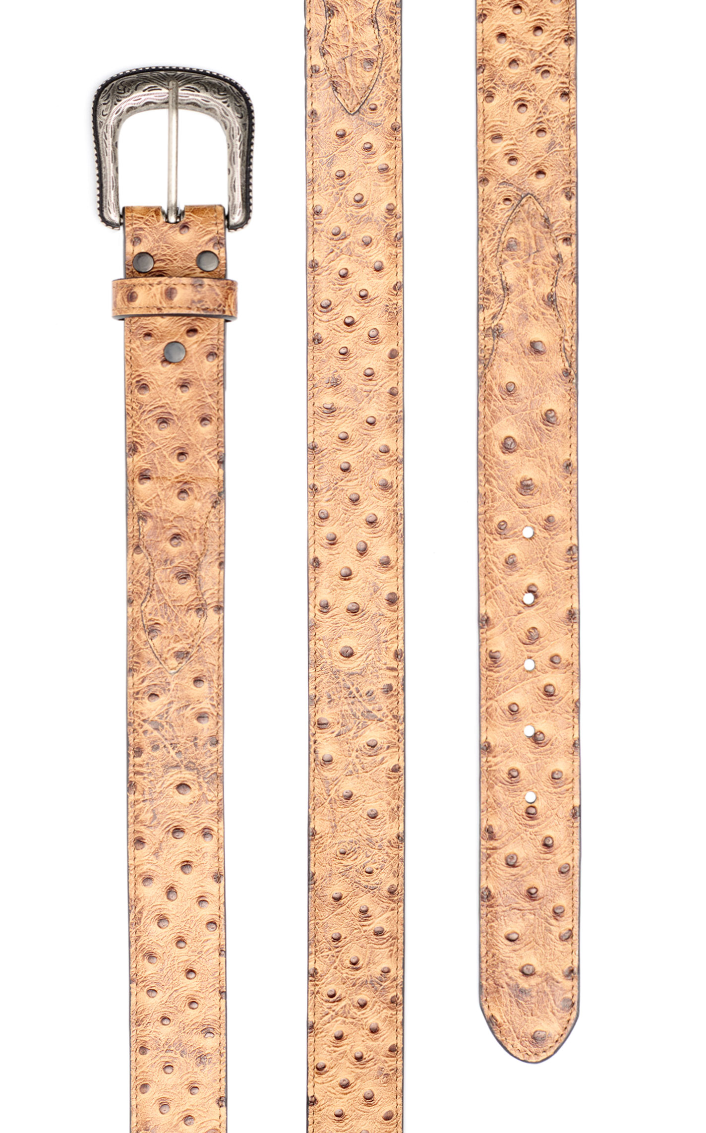 Cavender's Men's Caramel Ostrich Print Western Belt - Image 1