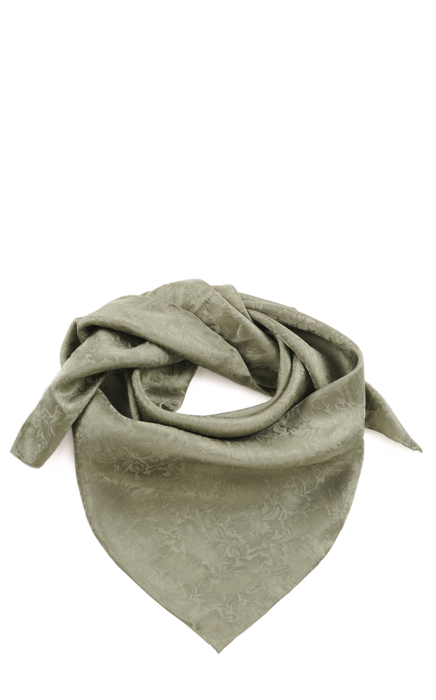 Jacquard Sage Silk Wild Rags Scarf - Image 1