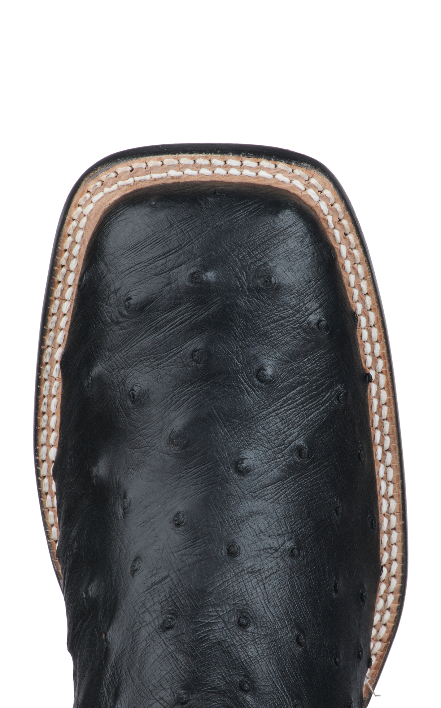 Tony Lama Men's Black Full Quill Ostrich and Dark Red Wide Square Toe Exotic Cowboy Boots - Cavender's Exclusive - Image 1