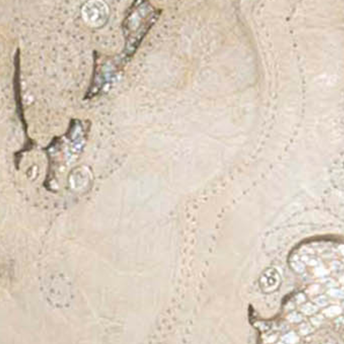 Corral Women's White with Glitter Inlay Bridal Snip Toe Cowboy Boots - Image 1