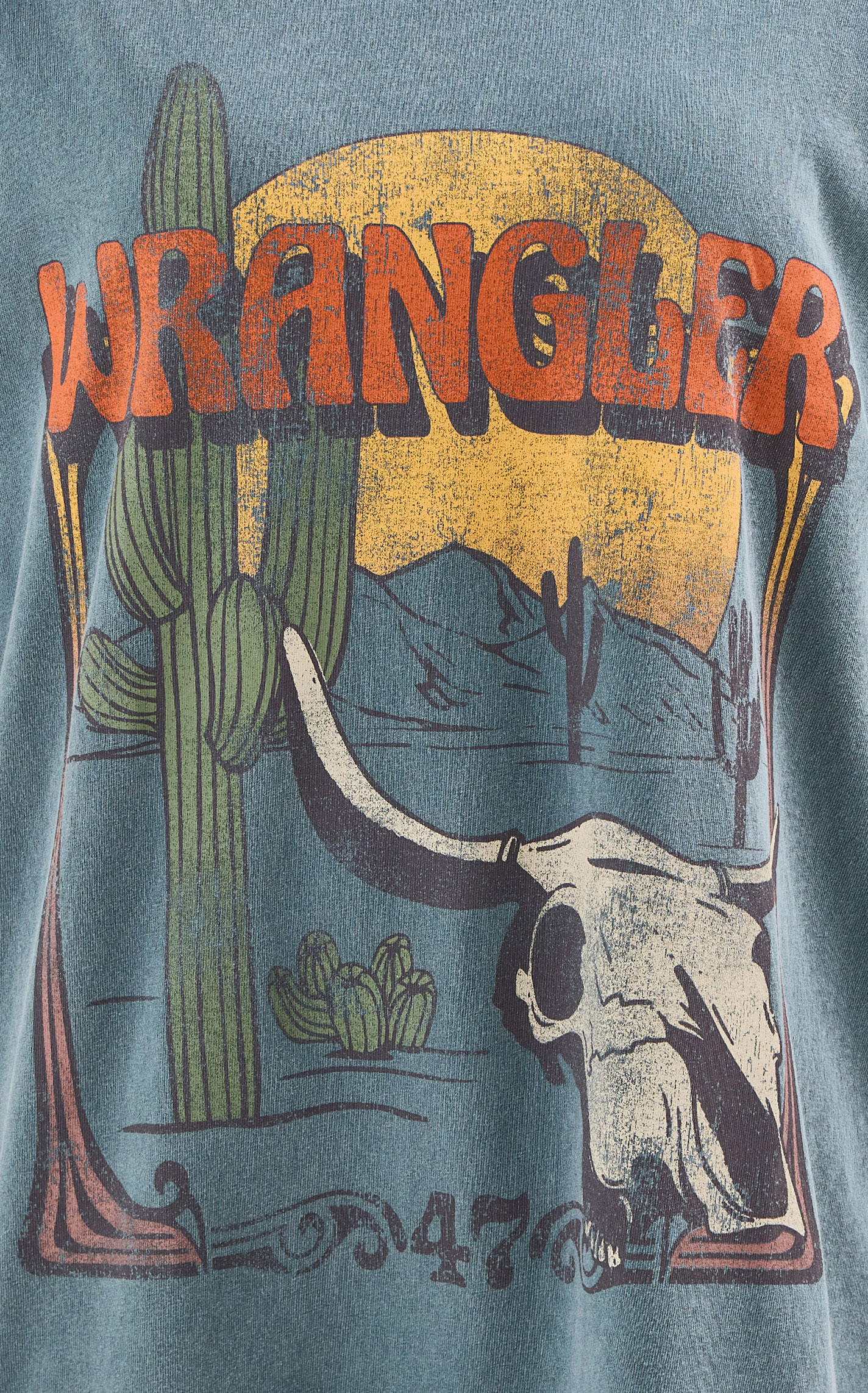 Wrangler Women's Washed Forest Desert Logo Graphic Oversized T-Shirt - Image 1