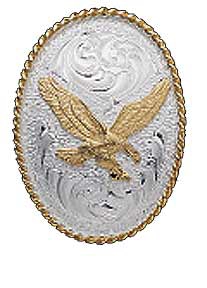 COLO TIE SILVER OVAL W/ - Image 1