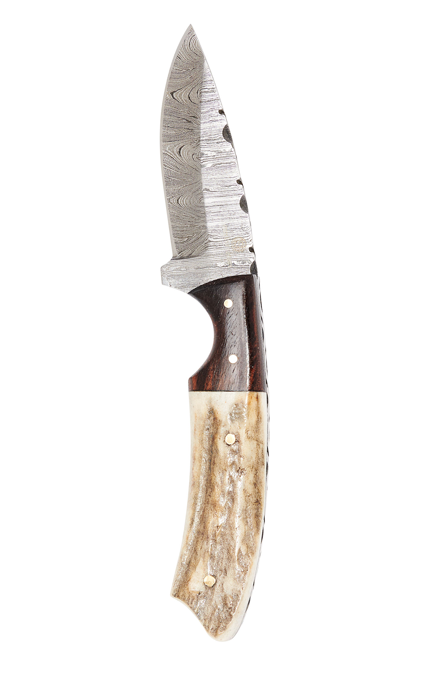 Circle SH Cutlery Damascus Steel Stag & Wood Handle Fixed Blade Knife - Image 1