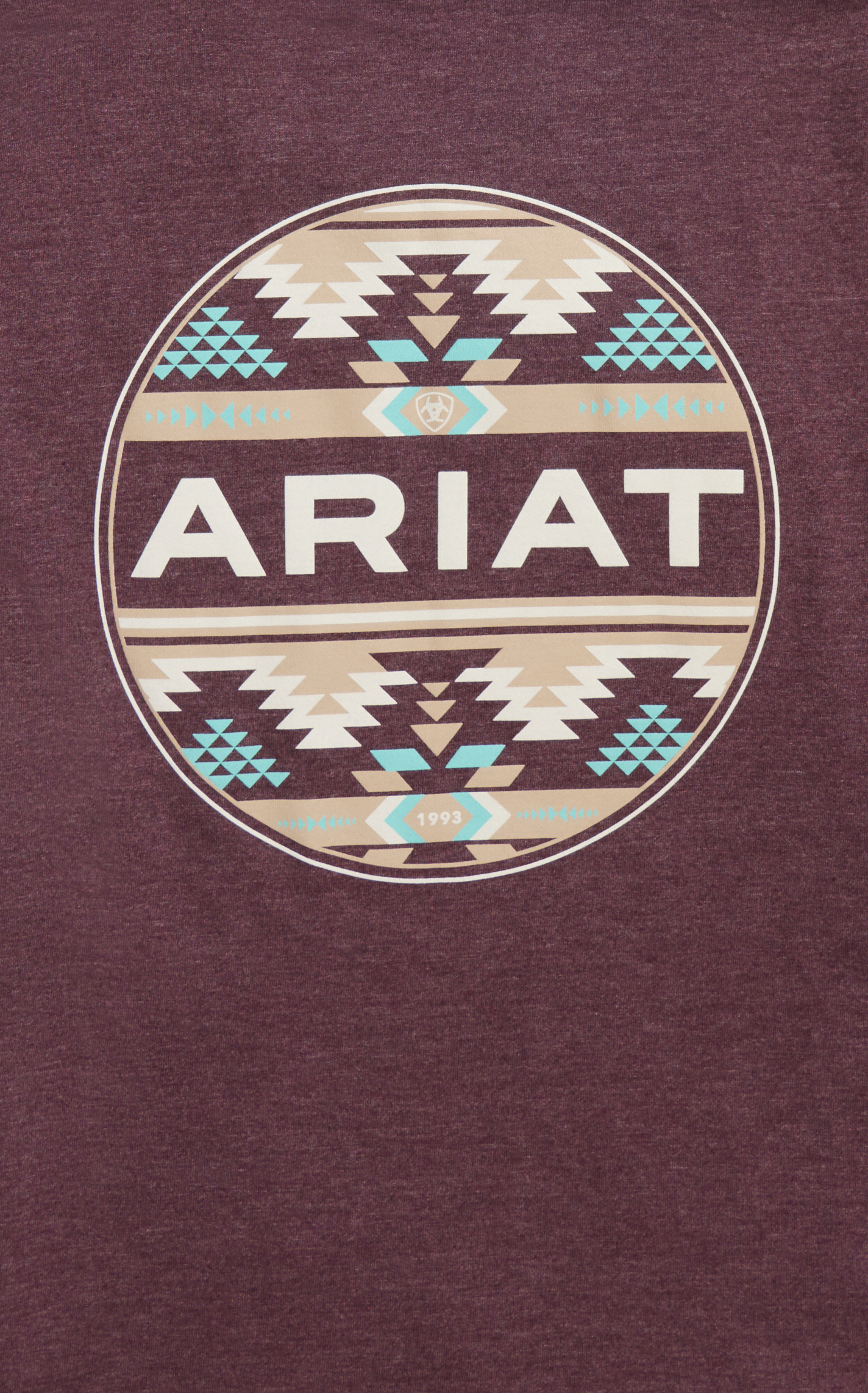 Ariat Boy's Wine & Latte Taupe Logo Graphic T-Shirt - Image 1