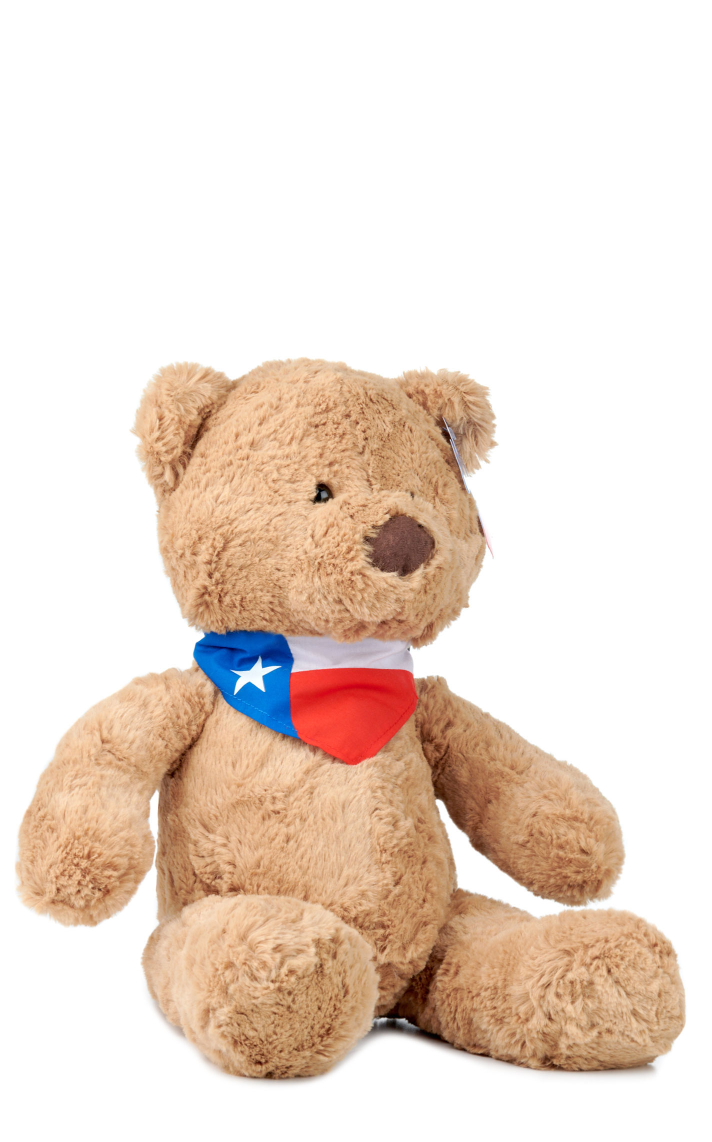 Texas Products Texas Teddy Bear Stuffed Animal - Image 1